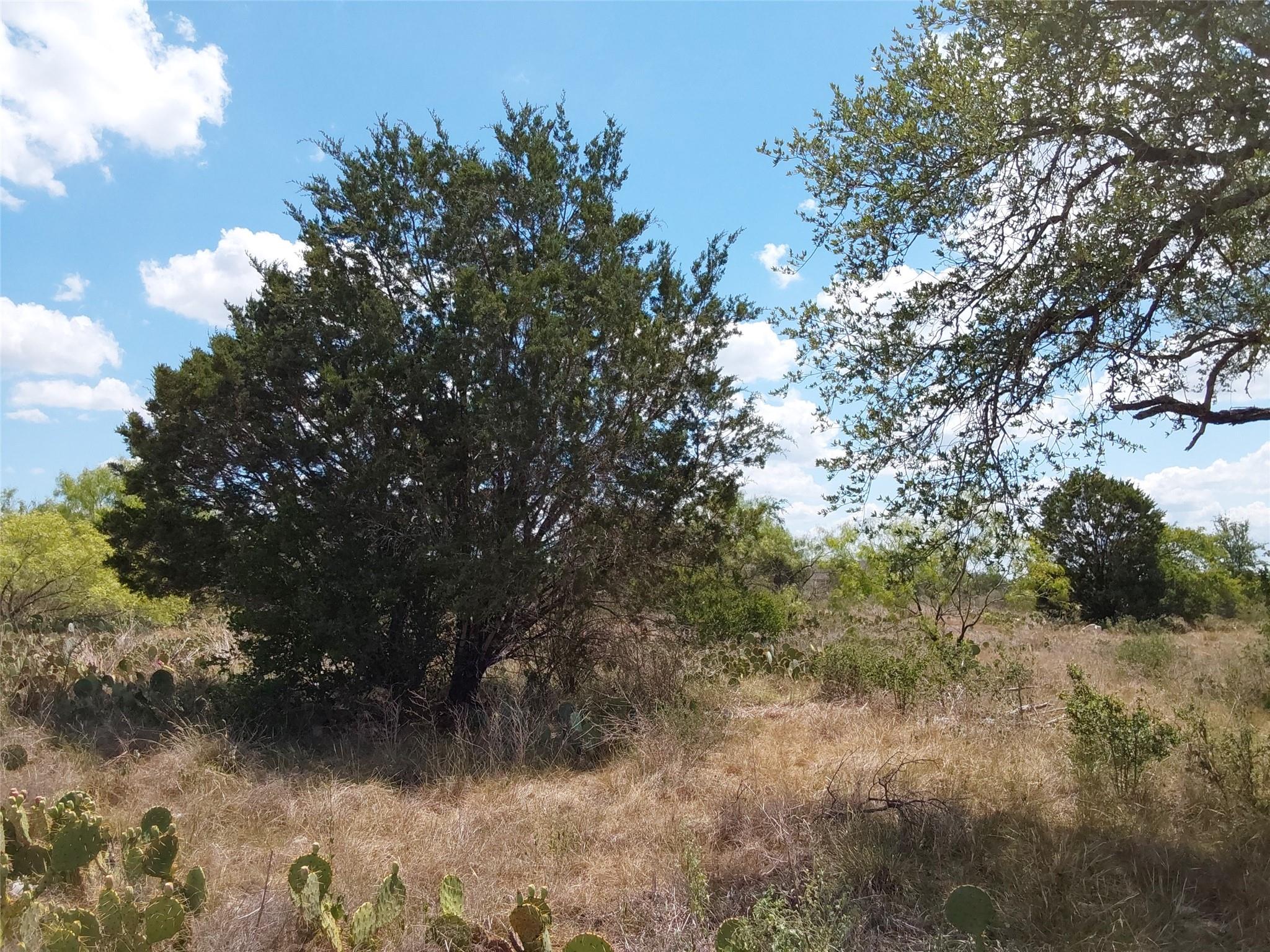 LOT 201 Sundance View Pt, Spicewood, TX 78669