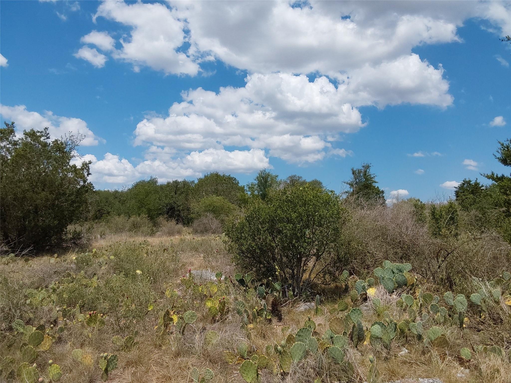 LOT 201 Sundance View Pt, Spicewood, TX 78669