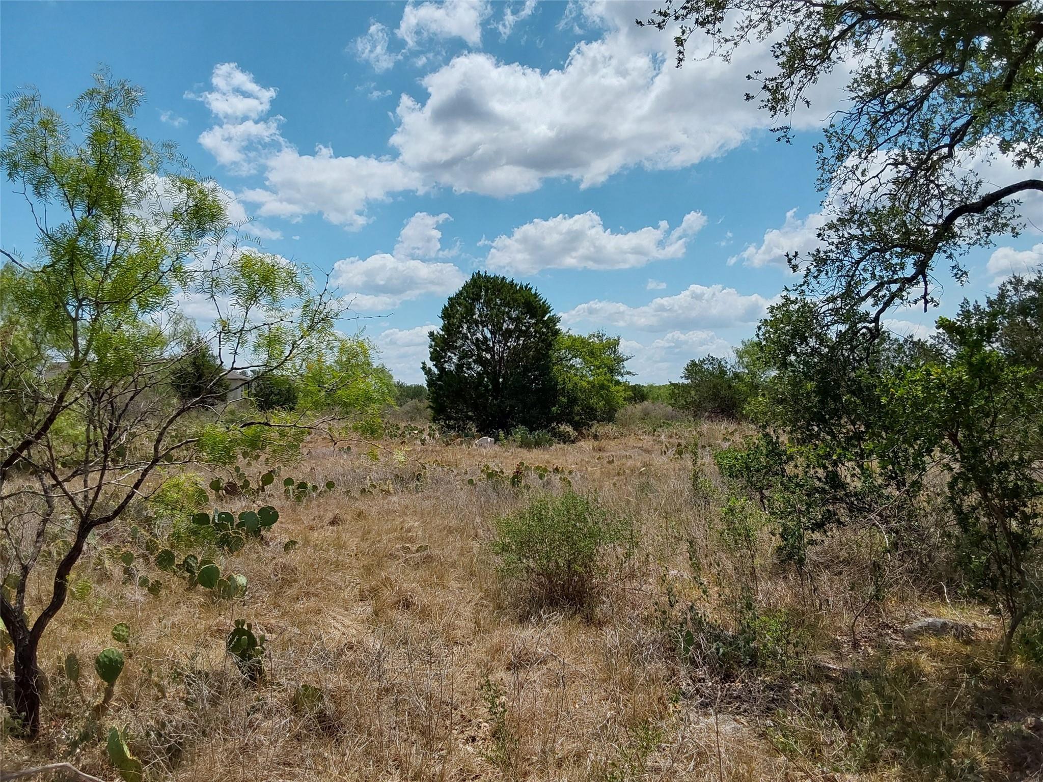 LOT 201 Sundance View Pt, Spicewood, TX 78669