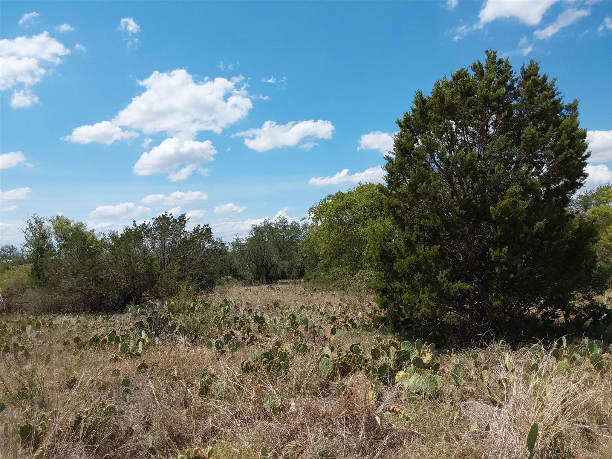 LOT 201 Sundance View Pt, Spicewood, TX 78669