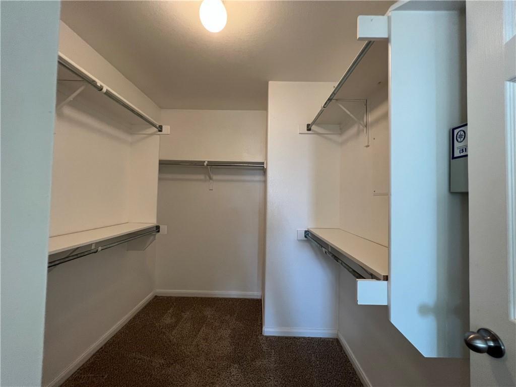 2307 Founder Dr, Cedar Park, TX 78613