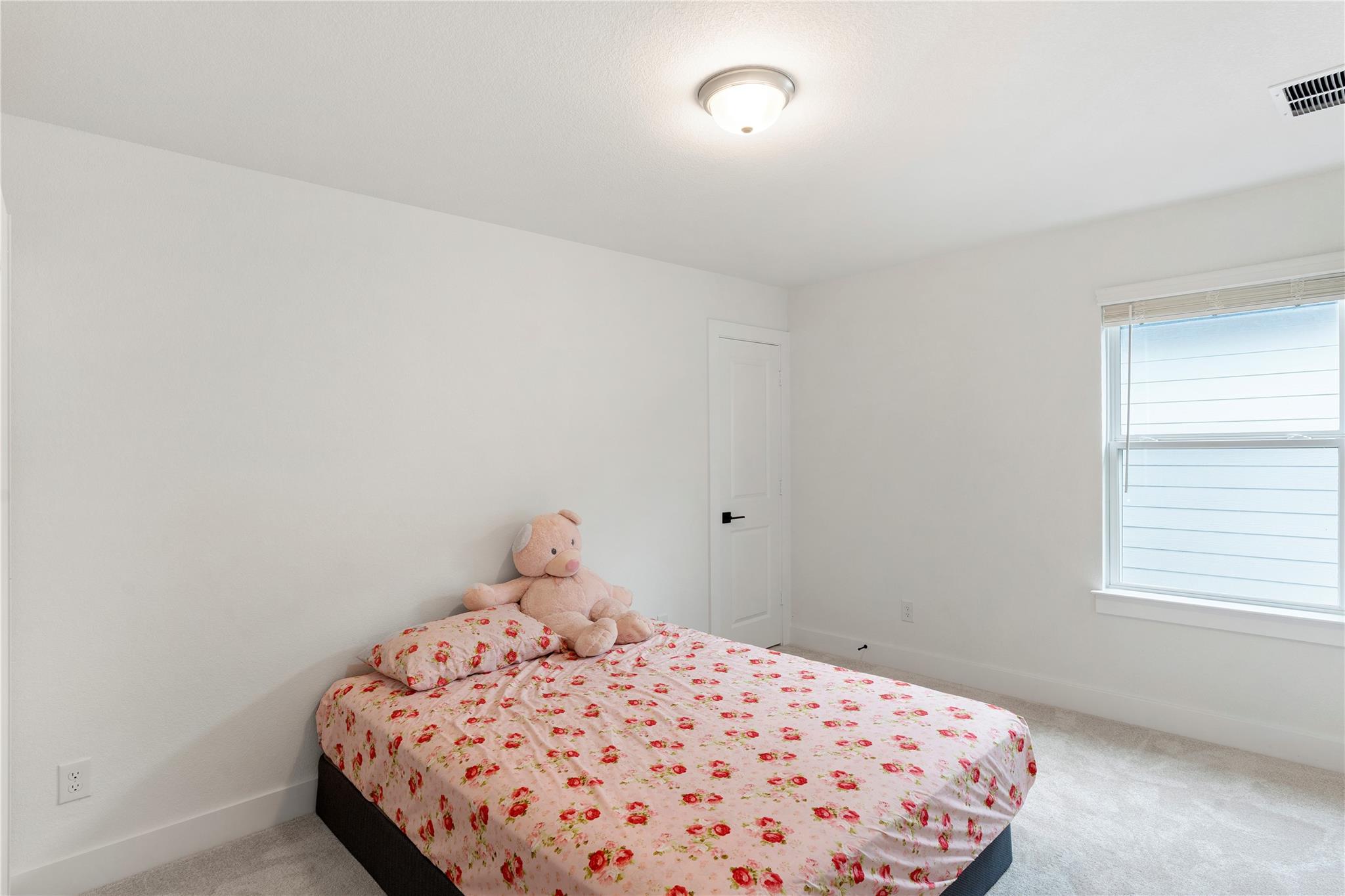 300 Hollister Dr, Liberty Hill, TX 78642