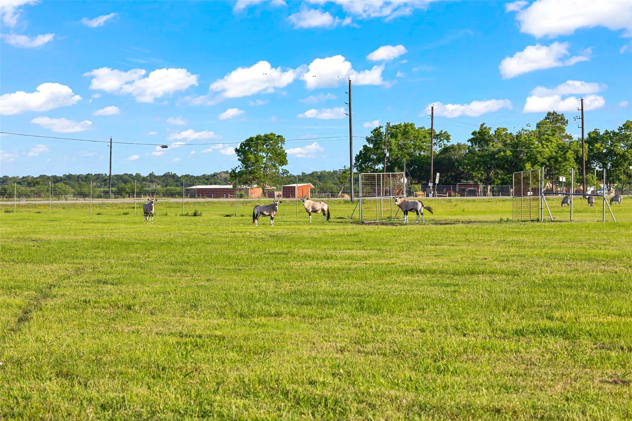 5523 Ehrman Lake Ln, Wallis, TX 77485