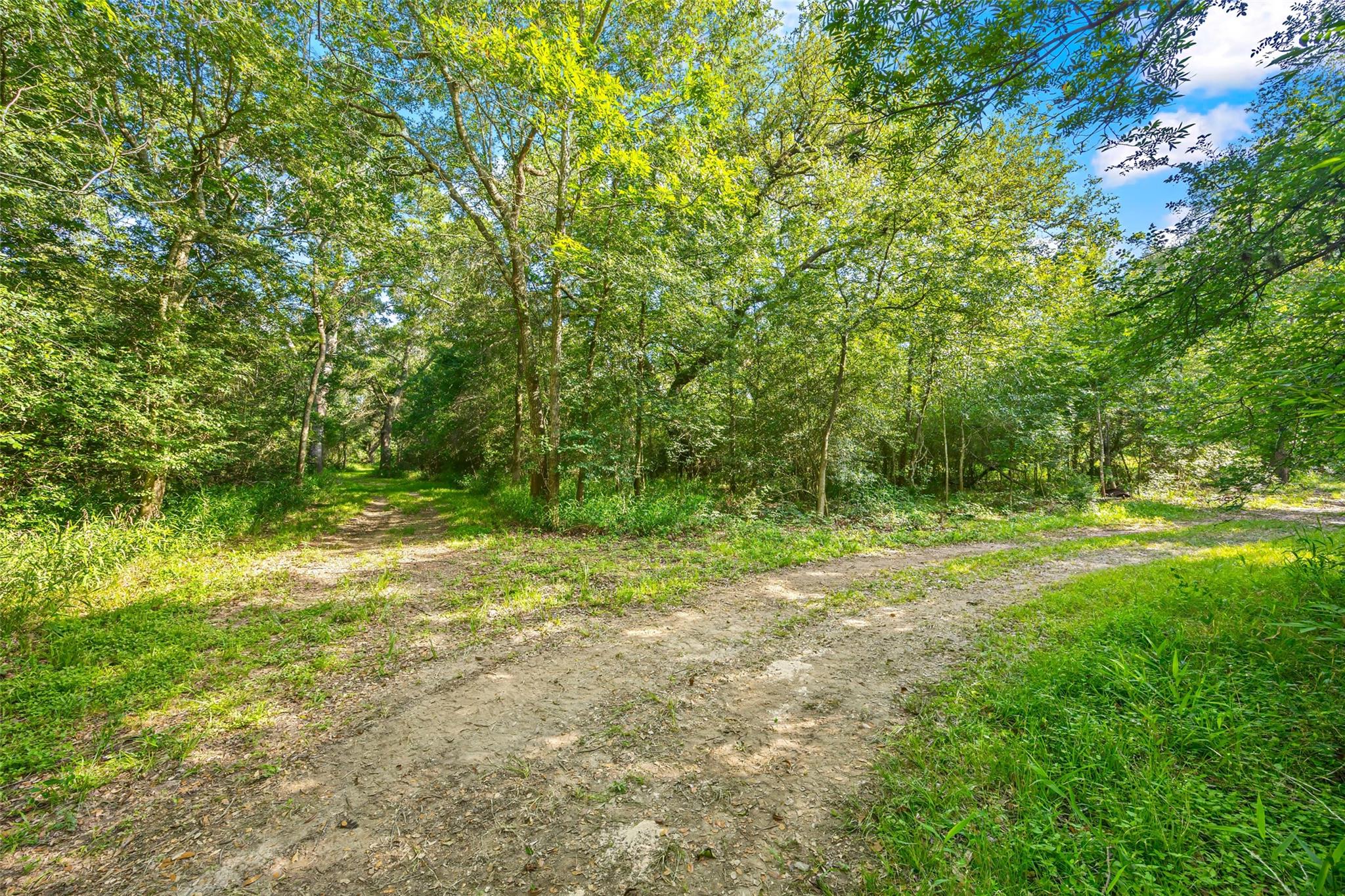 5523 Ehrman Lake Ln, Wallis, TX 77485