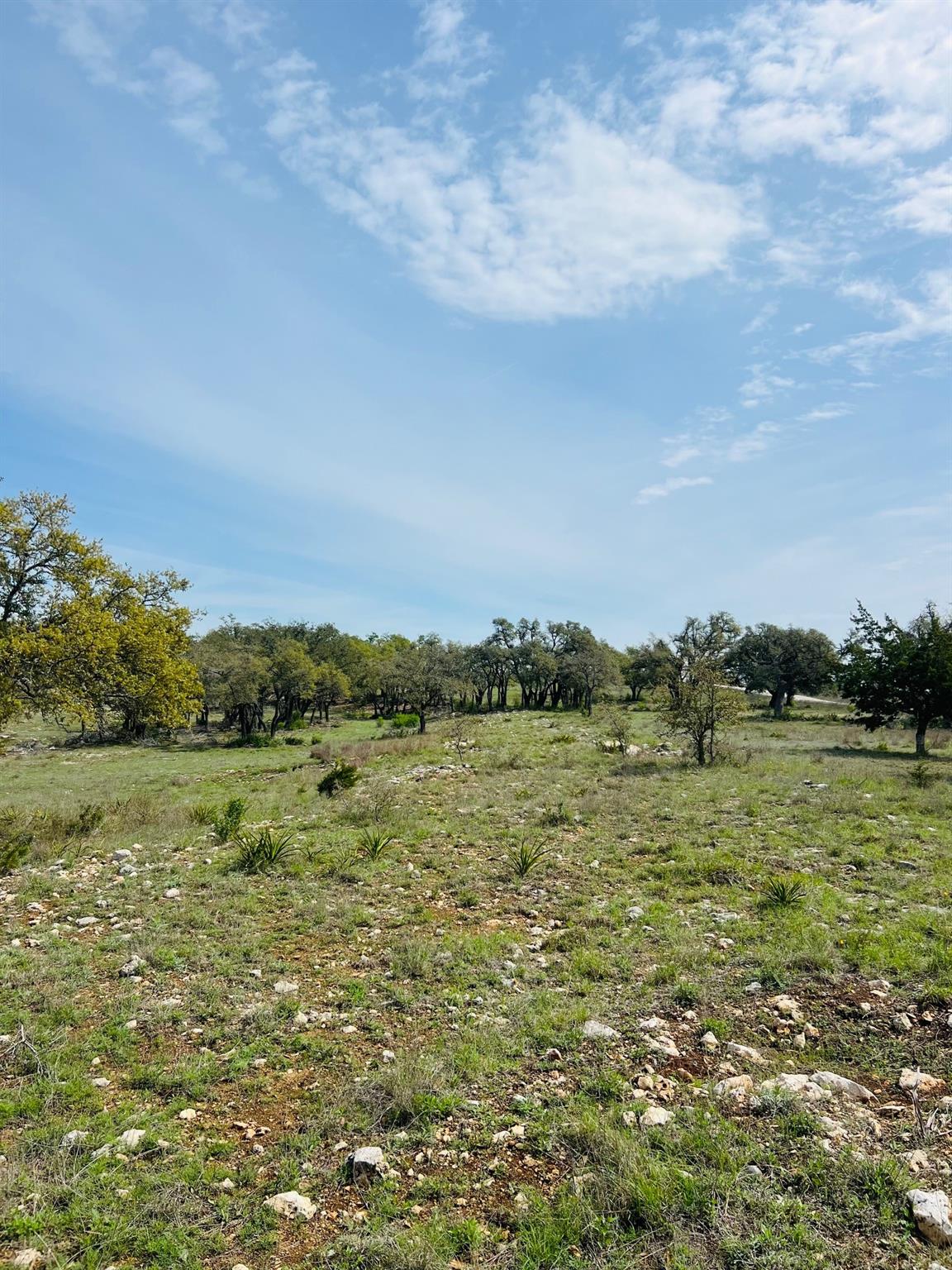 Lot 8 W Flying Owl Dr, Johnson City, TX 78636