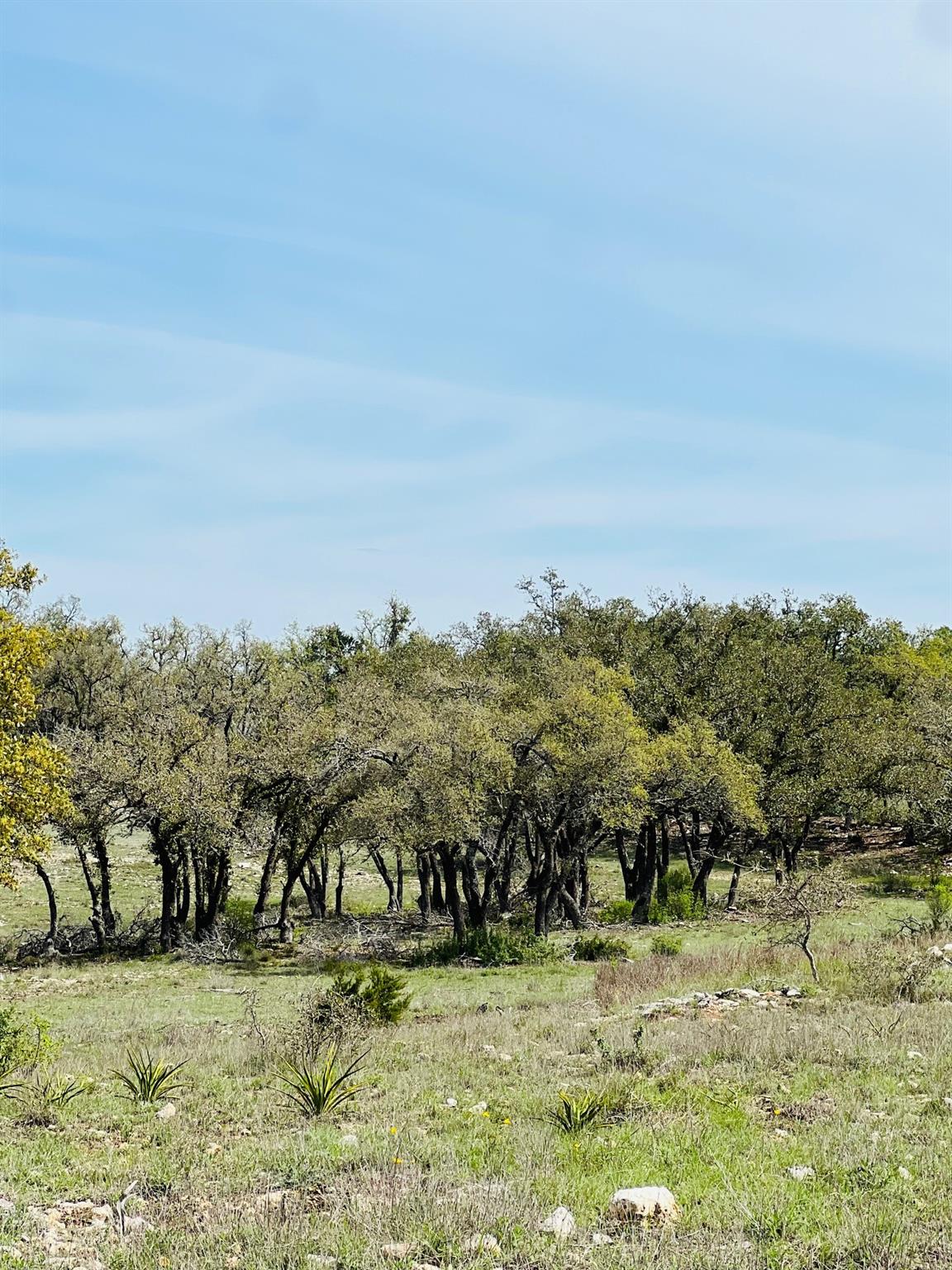 Lot 8 W Flying Owl Dr, Johnson City, TX 78636