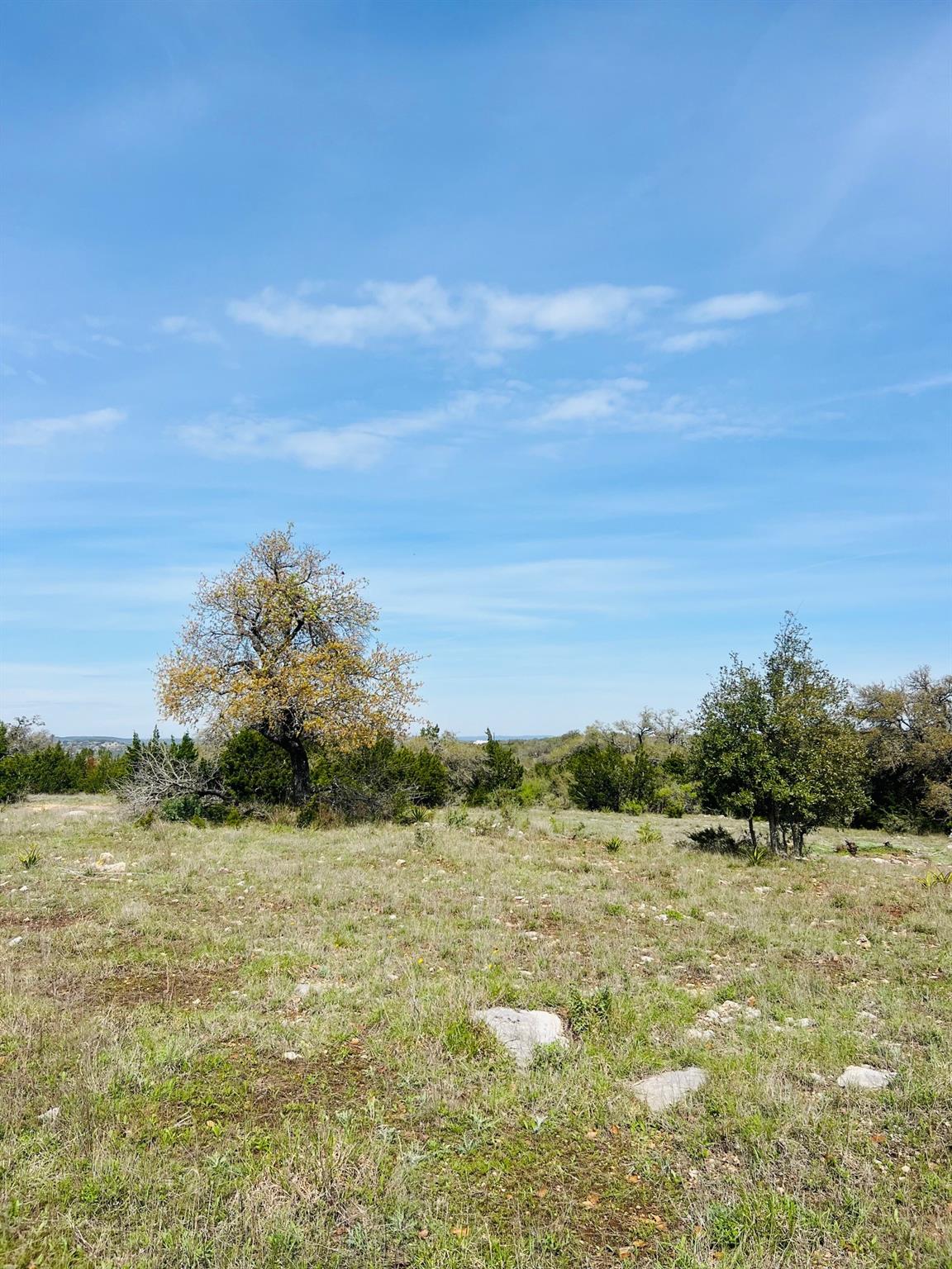 Lot 8 W Flying Owl Dr, Johnson City, TX 78636