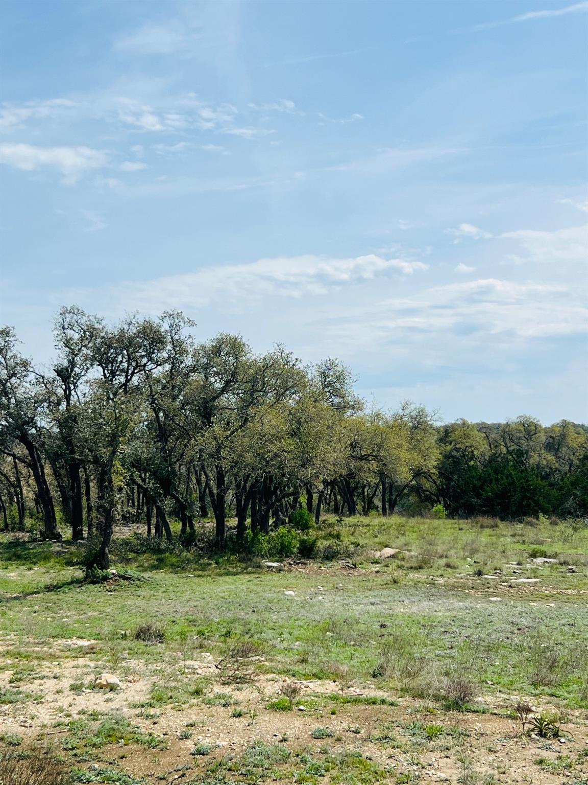 Lot 40 Prancing Deer Ln, Johnson City, TX 78636