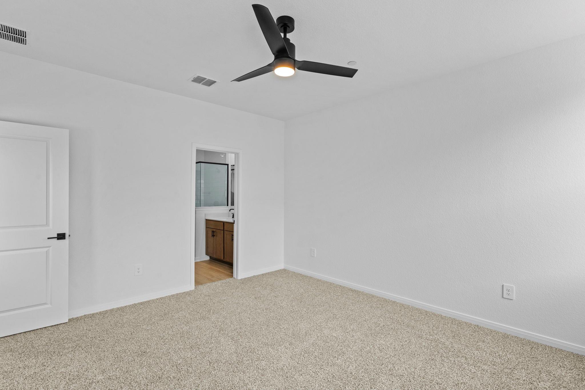 2542 Violet Theo Ln, Round Rock, TX 78665
