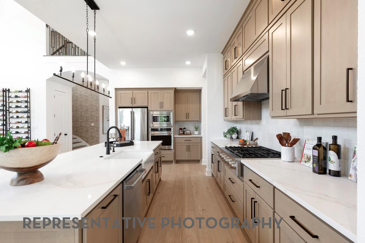 228 Blossom Cottage Dr, Hutto, TX 78634