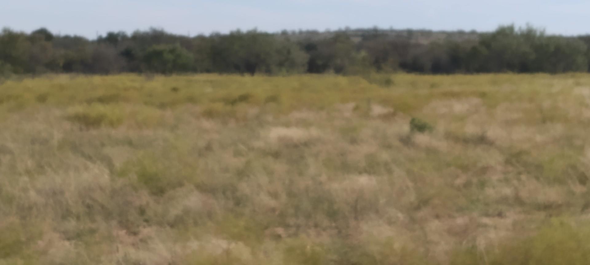 O County Road 266, Comanche, TX 76455