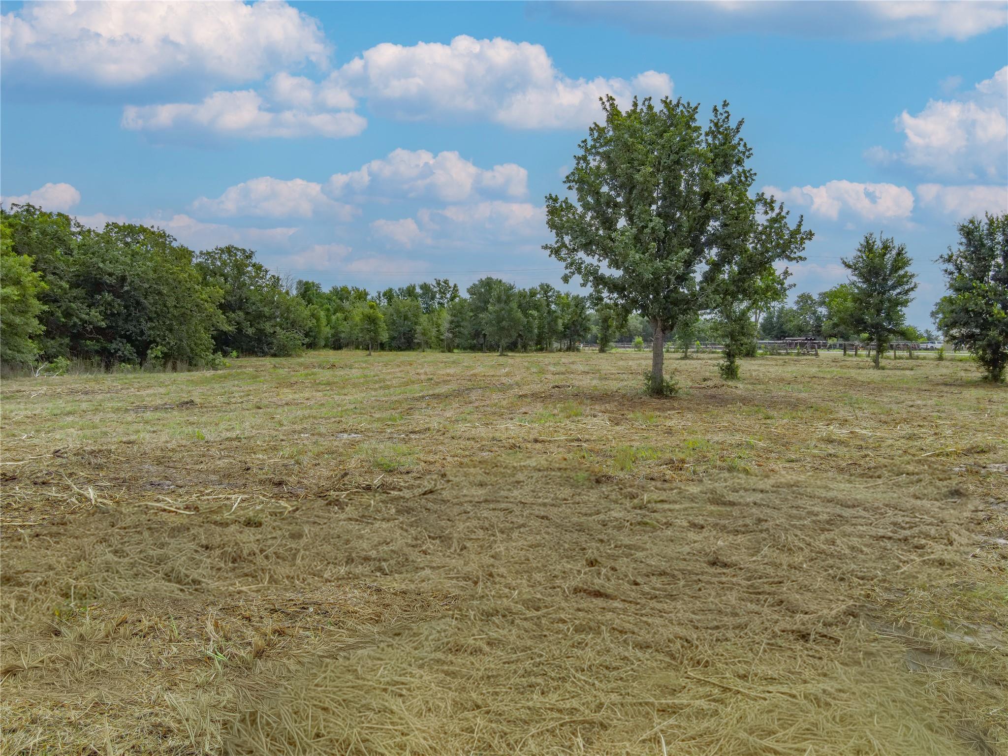 TBD HWY 36 S, Somerville, TX 77863