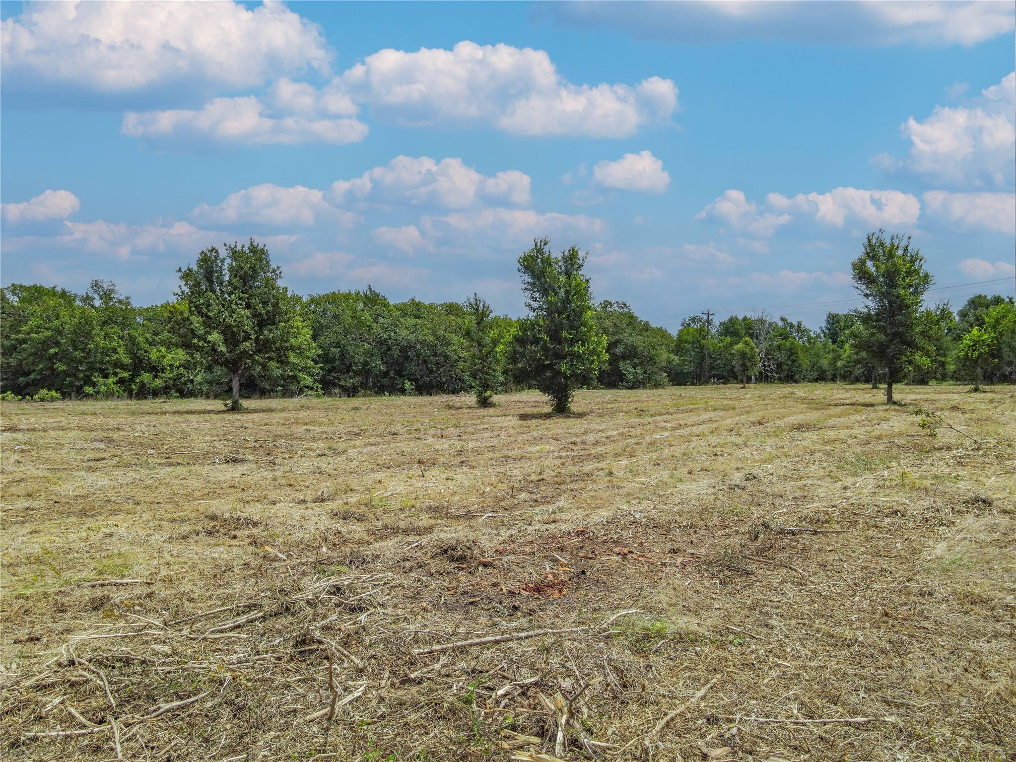 TBD HWY 36 S, Somerville, TX 77863