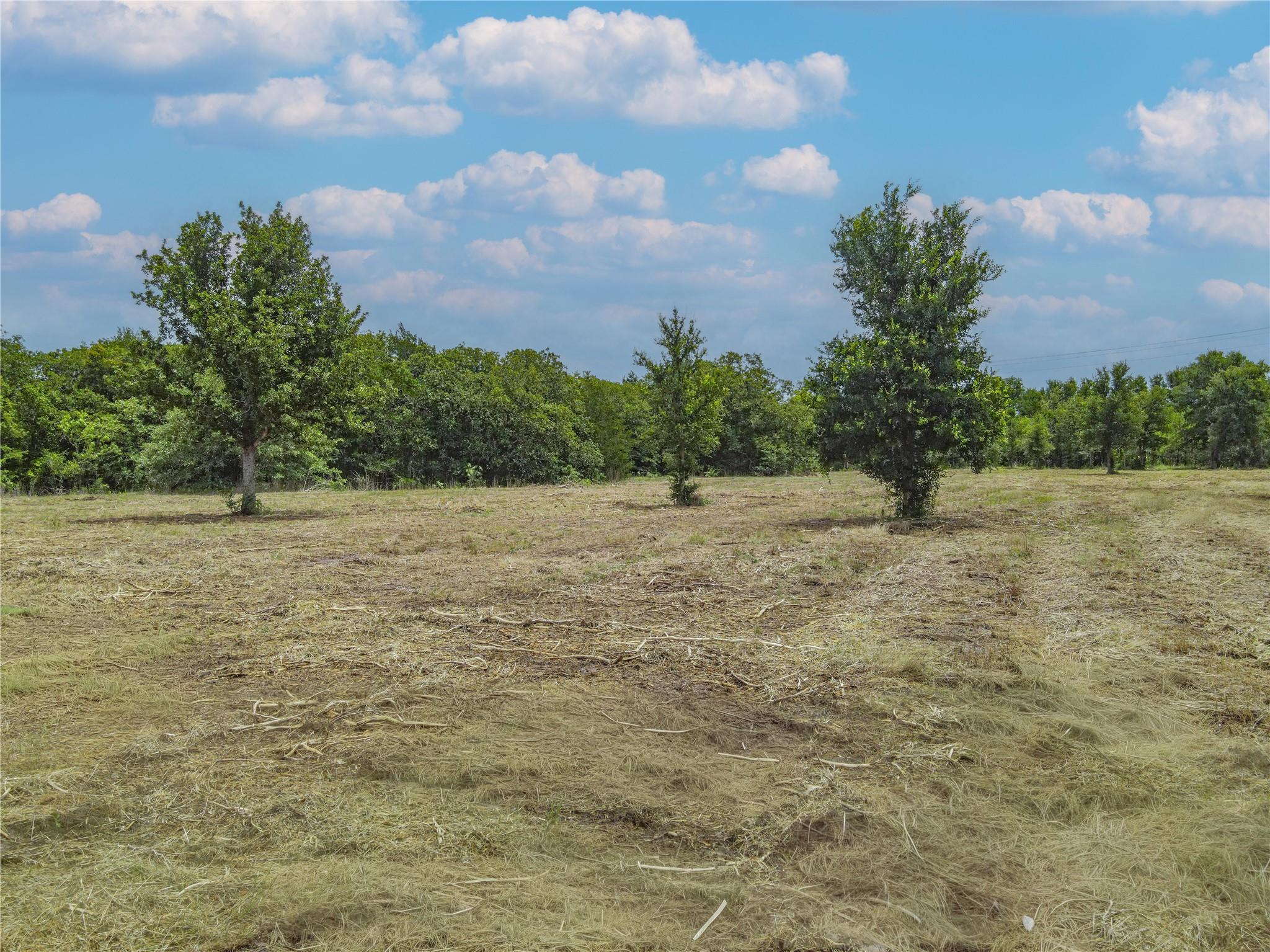 TBD HWY 36 S, Somerville, TX 77863