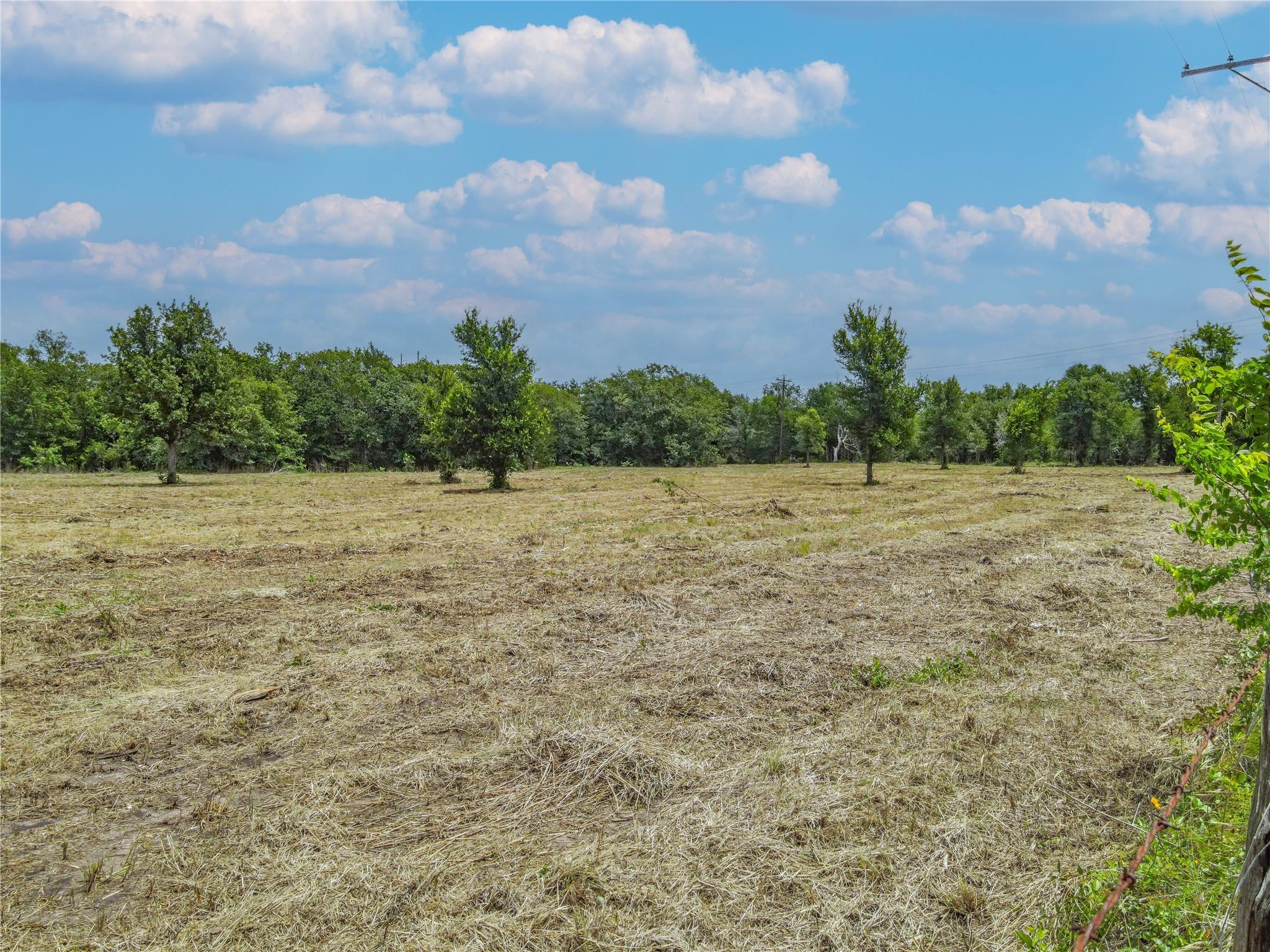 TBD HWY 36 S, Somerville, TX 77863