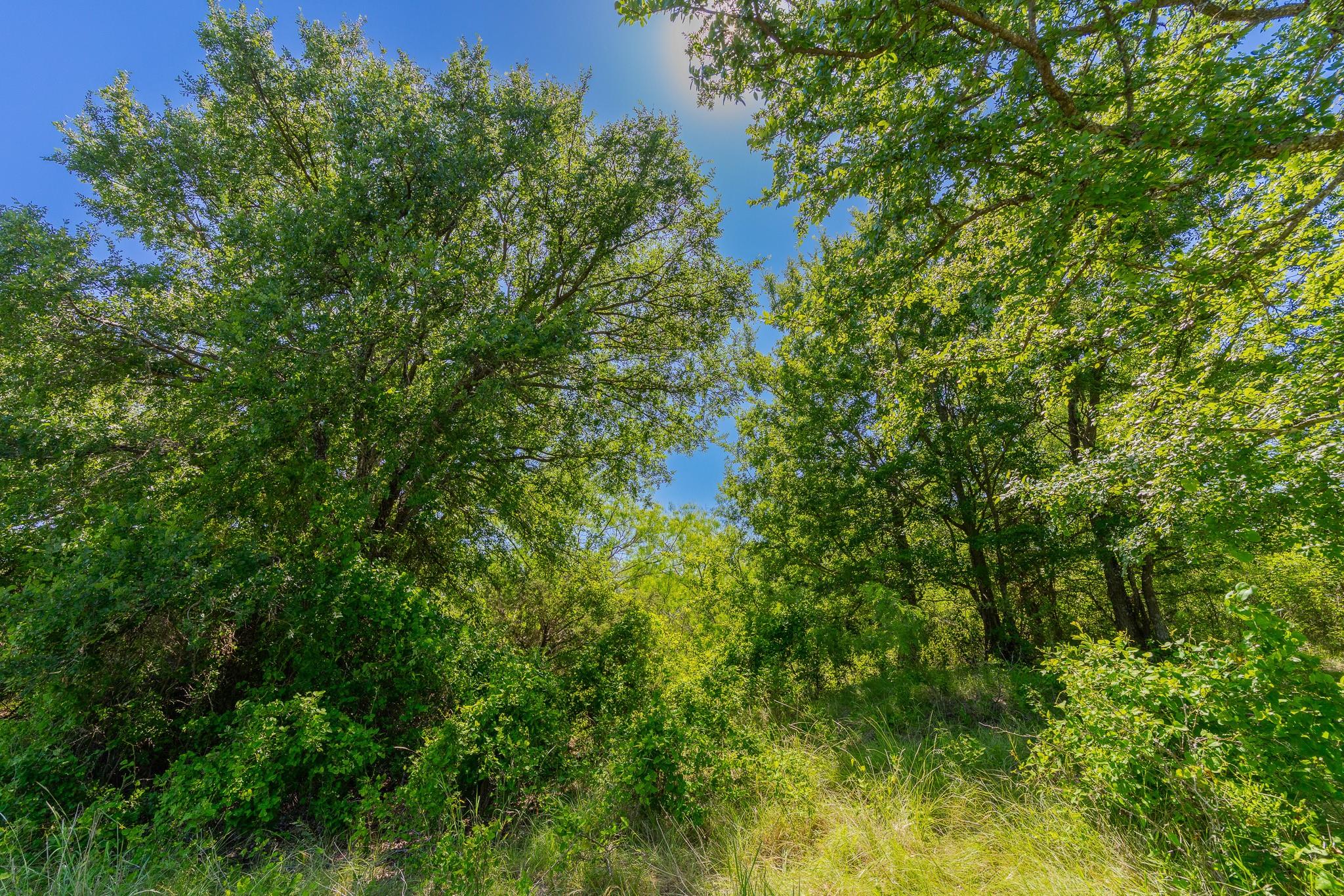 TBD County Road 180 Covered Meadows Ranch Rd, Purmela, TX 76566