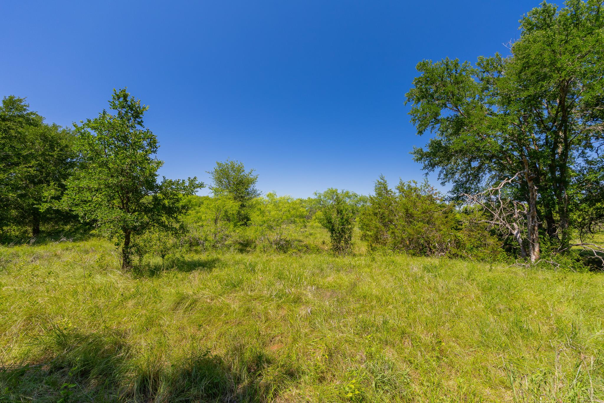 TBD County Road 180 Covered Meadows Ranch Rd, Purmela, TX 76566