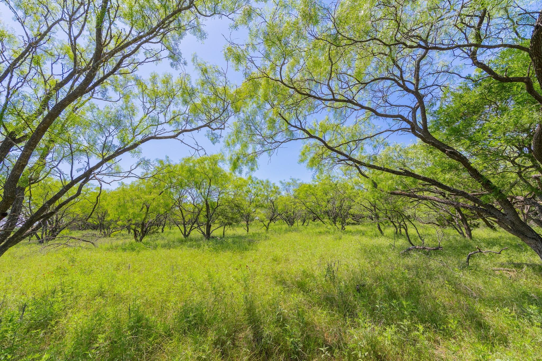 TBD County Road 180 Covered Meadows Ranch Rd, Purmela, TX 76566