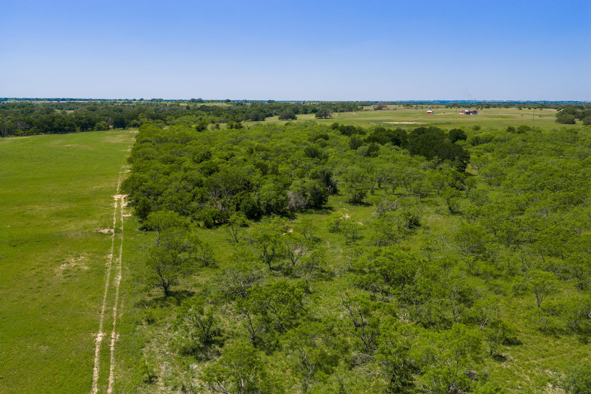 TBD County Road 180 Covered Meadows Ranch Rd, Purmela, TX 76566