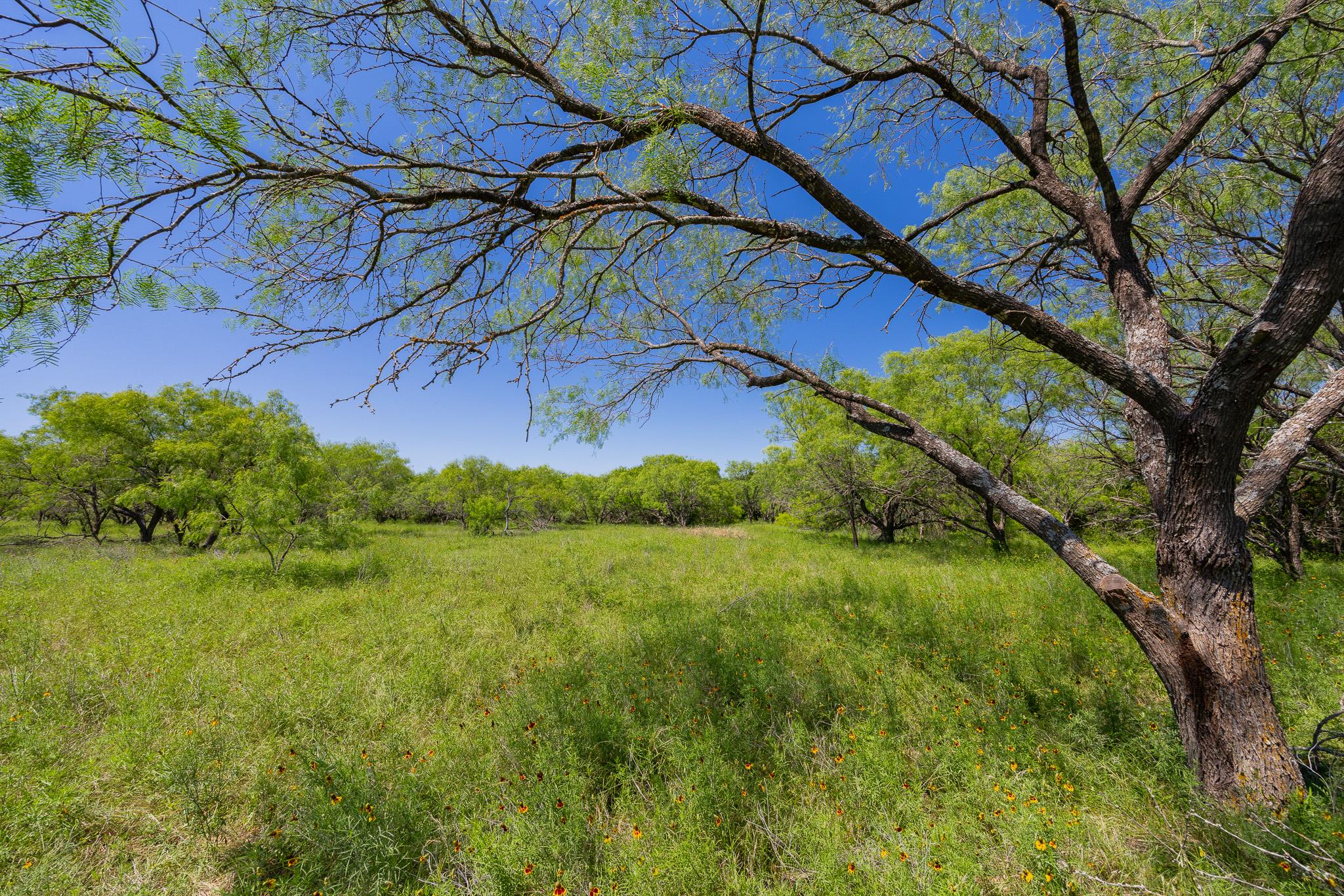 TBD County Road 180 Covered Meadows Ranch Rd, Purmela, TX 76566