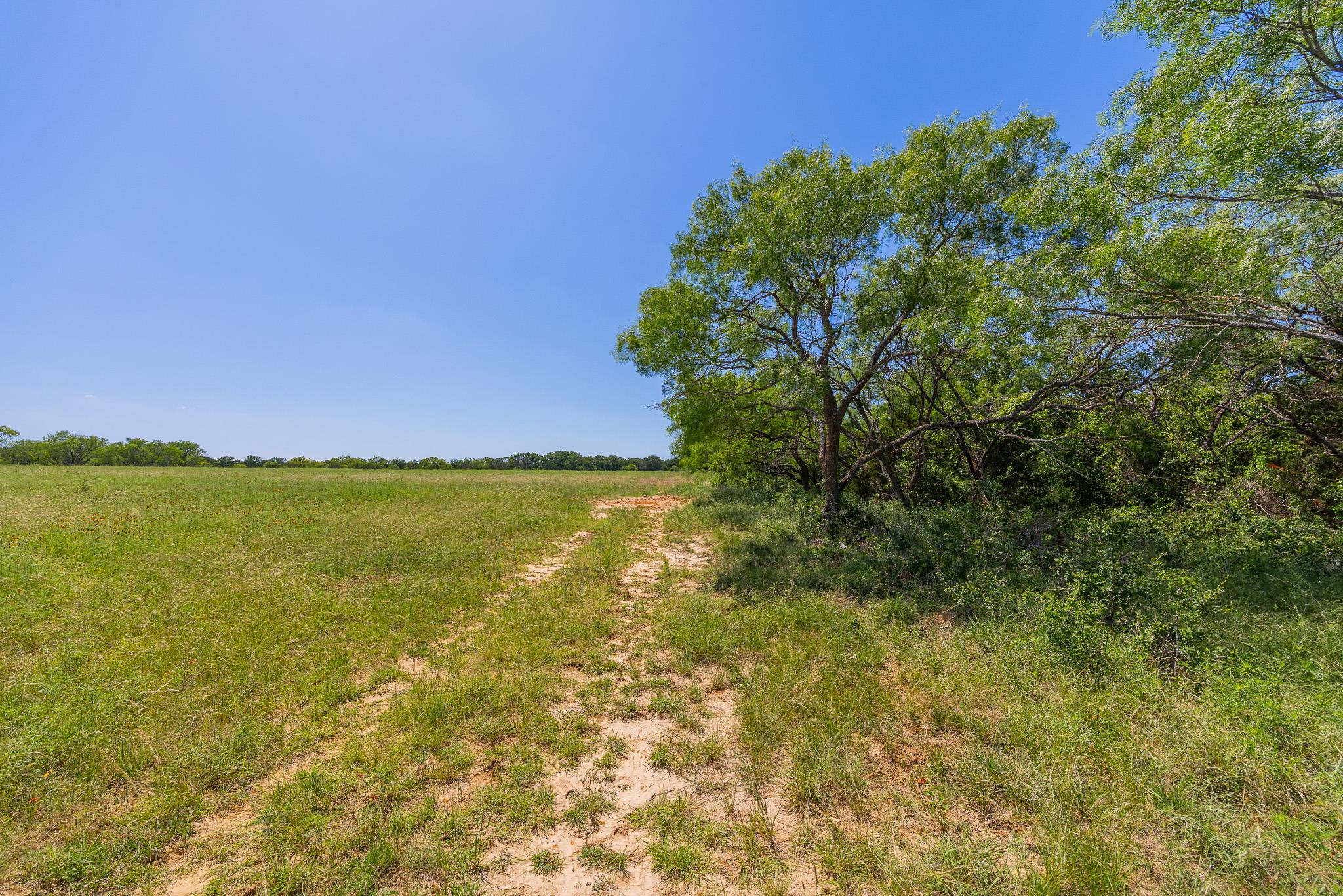 TBD County Road 180 Covered Meadows Ranch Rd, Purmela, TX 76566