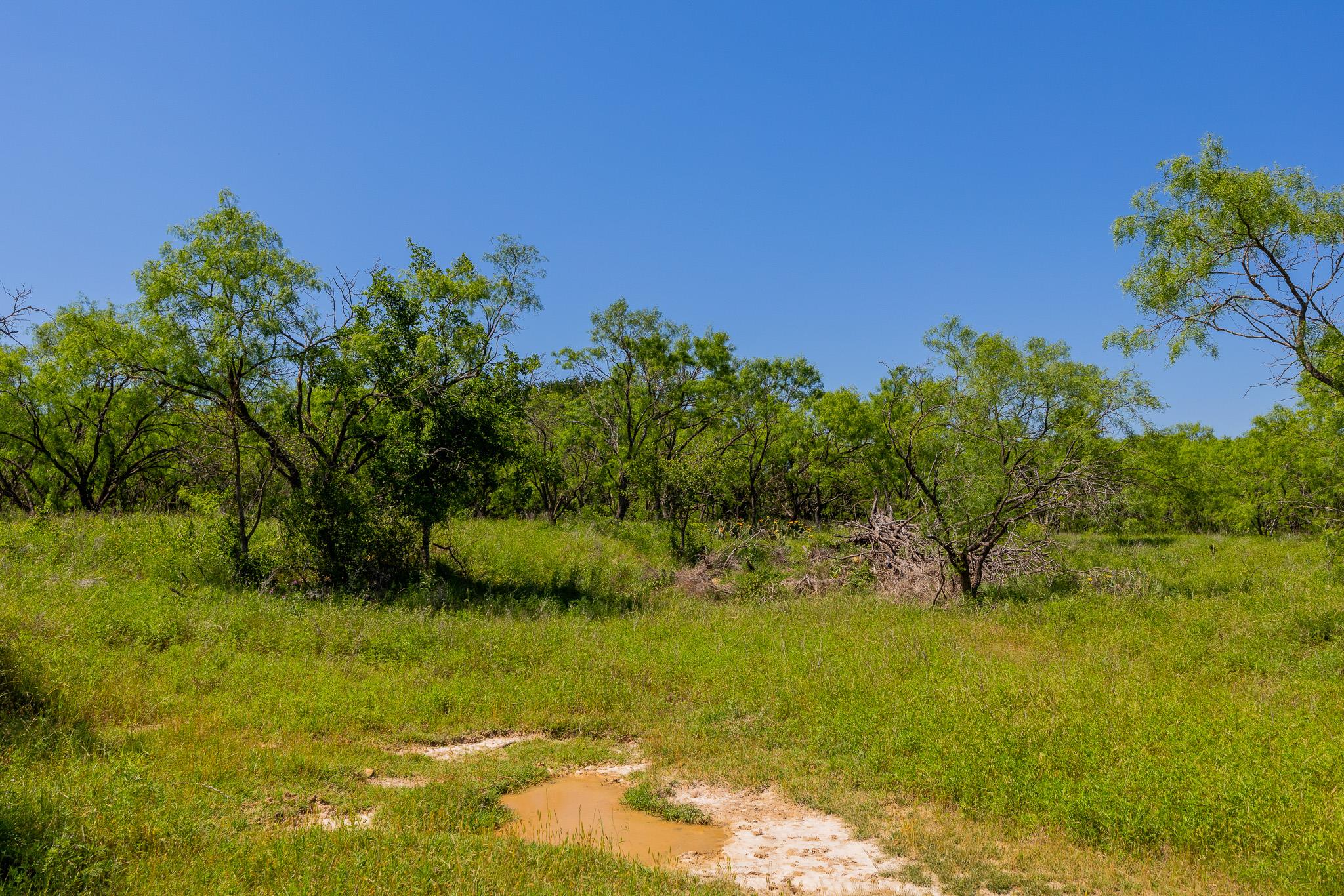 TBD County Road 180 Covered Meadows Ranch Rd, Purmela, TX 76566