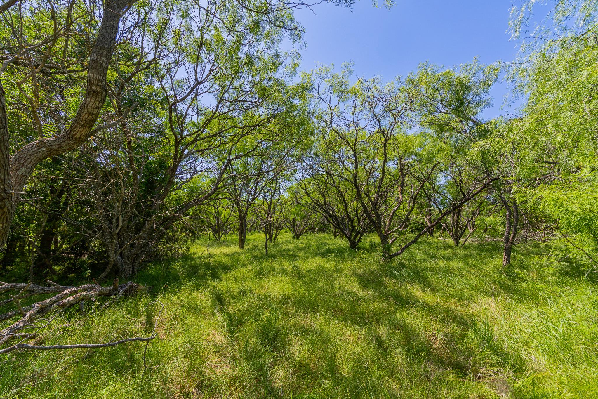 TBD County Road 180 Covered Meadows Ranch Rd, Purmela, TX 76566