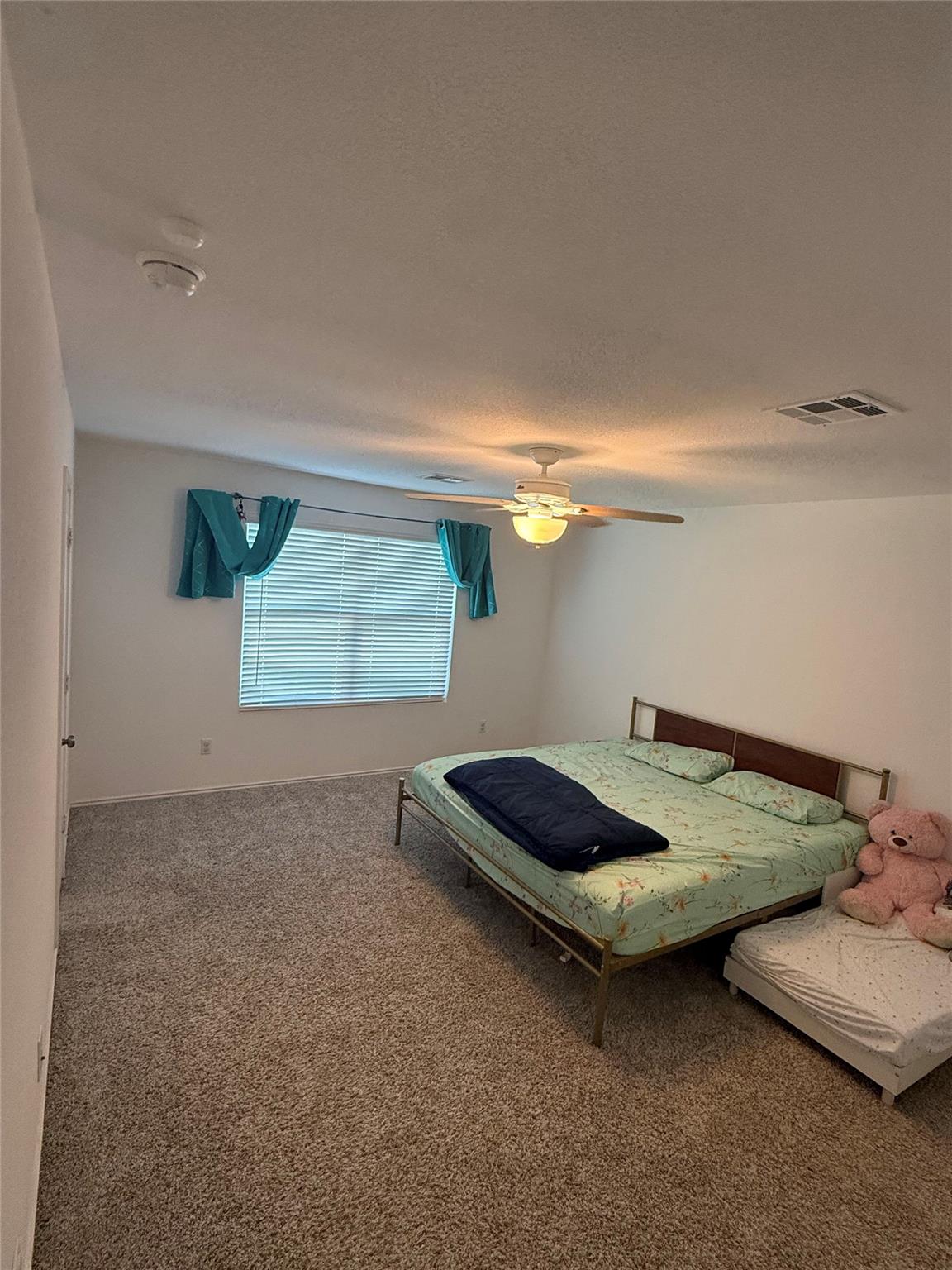 230 Milliner Loop, Hutto, TX 78634