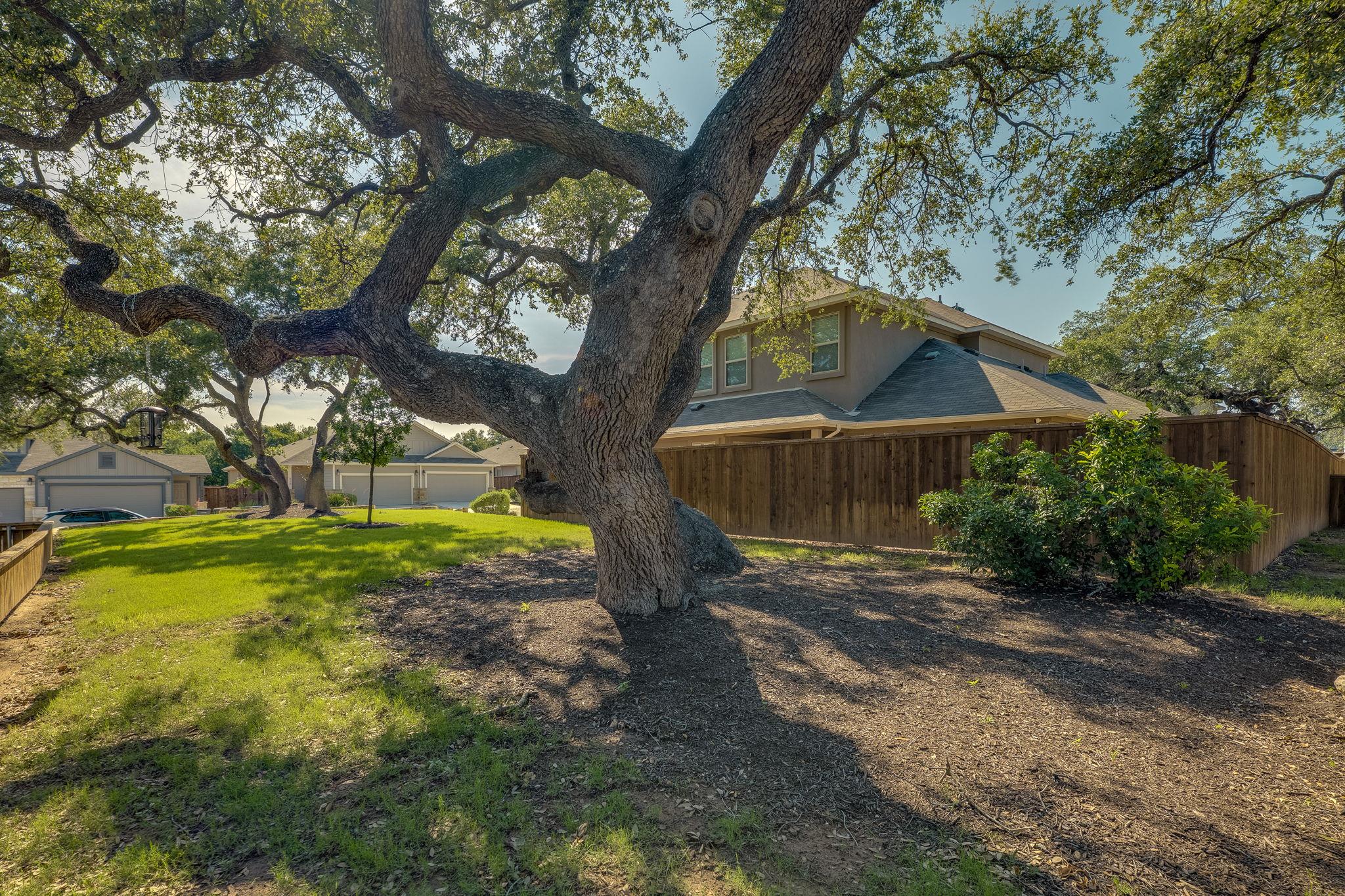 619 Parkline Dr, Georgetown, TX 78626