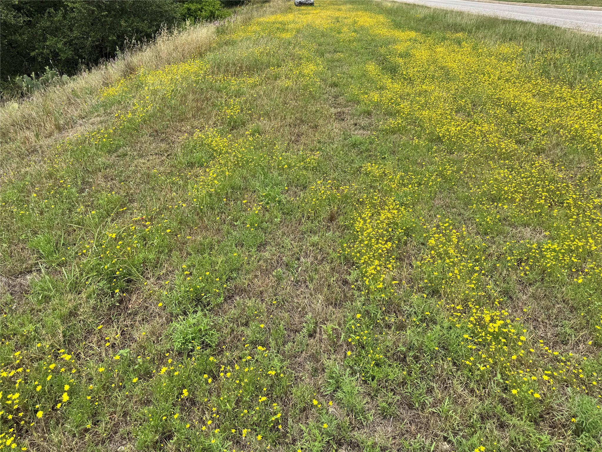 3107 Crystal Falls Pkwy, Leander, TX 78641