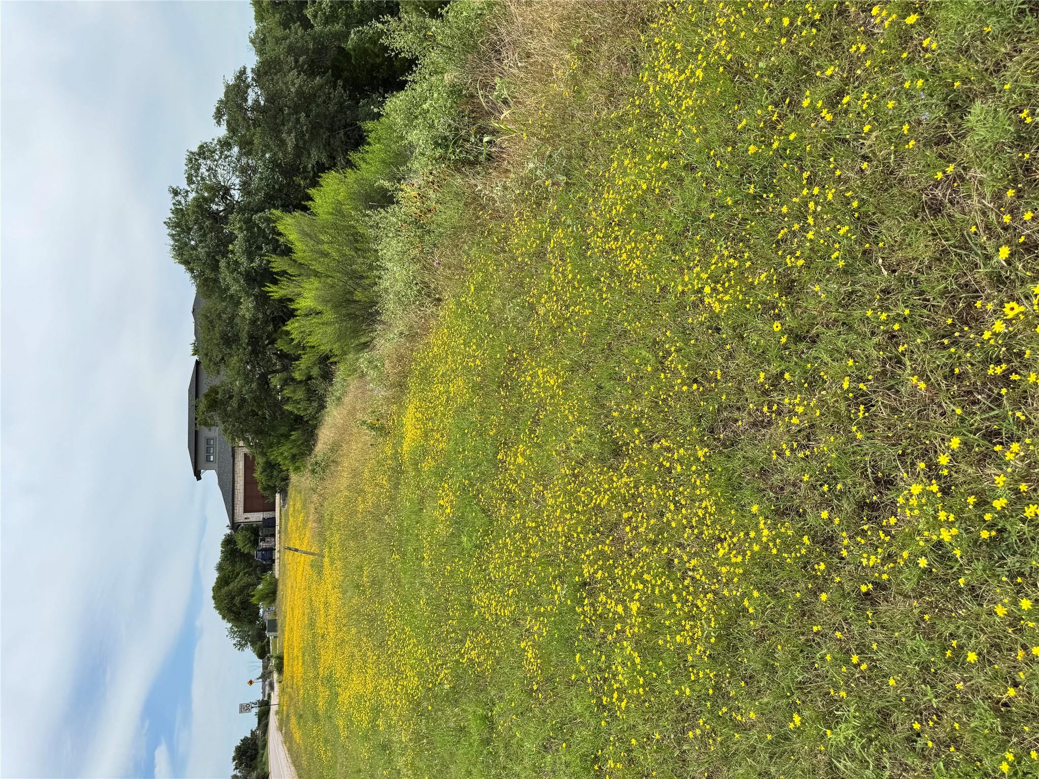 3107 Crystal Falls Pkwy, Leander, TX 78641