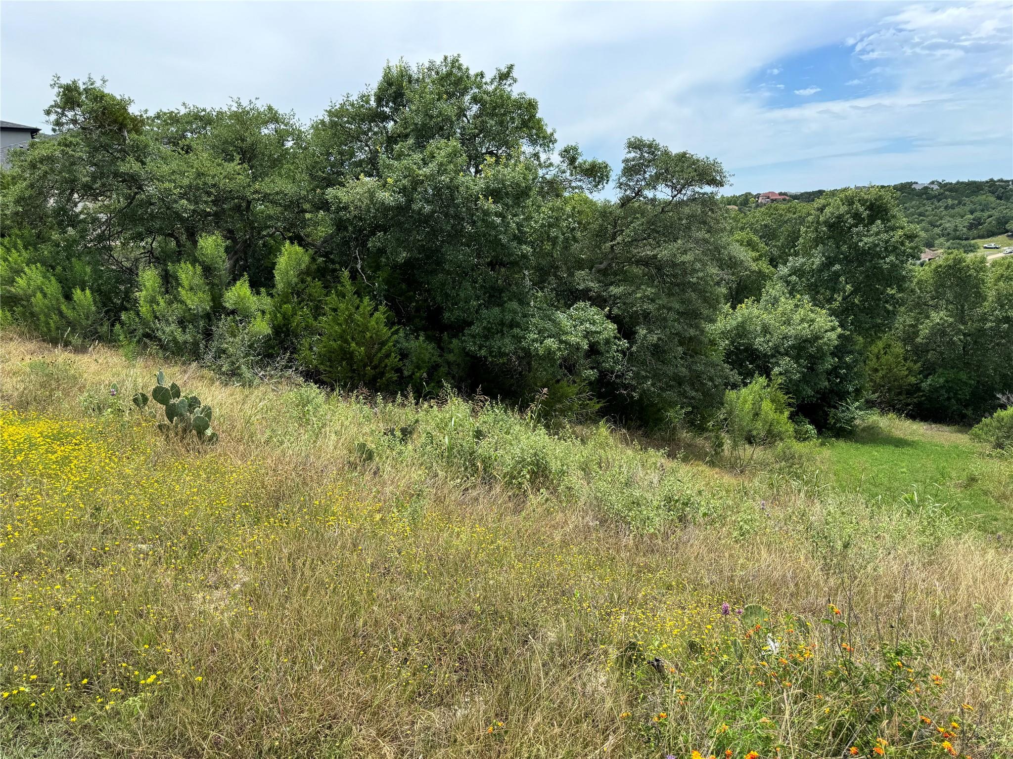 3107 Crystal Falls Pkwy, Leander, TX 78641