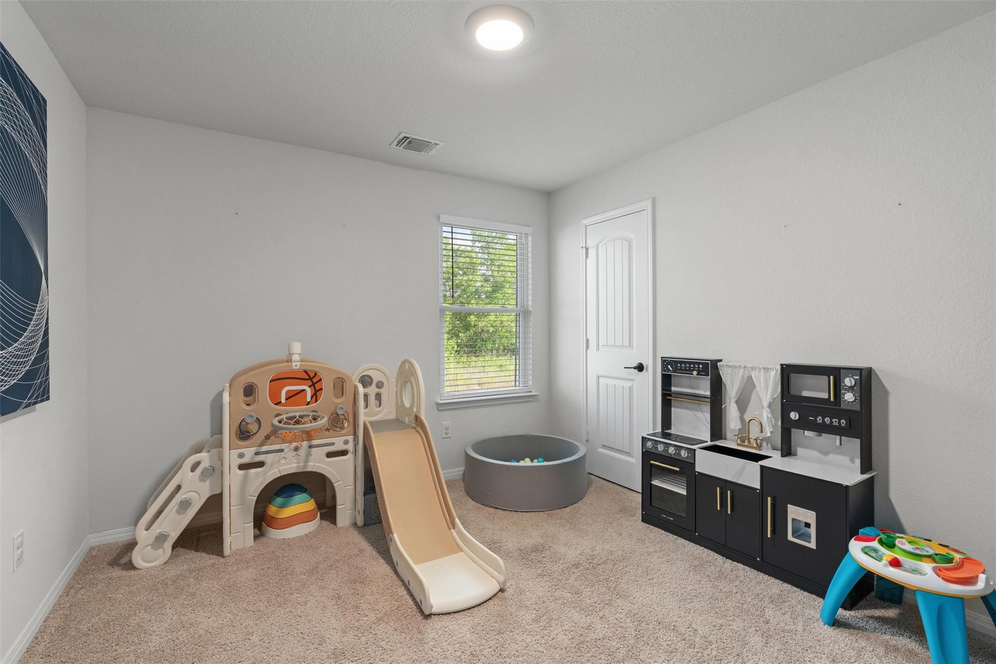 19912 Abigail Fillmore Rd, Manor, TX 78653