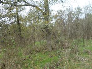 394 FM 112, Thrall, TX 78947