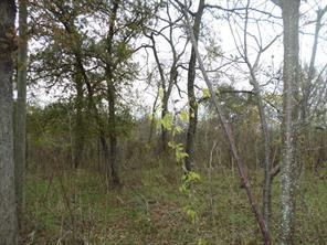 394 FM 112, Thrall, TX 78947