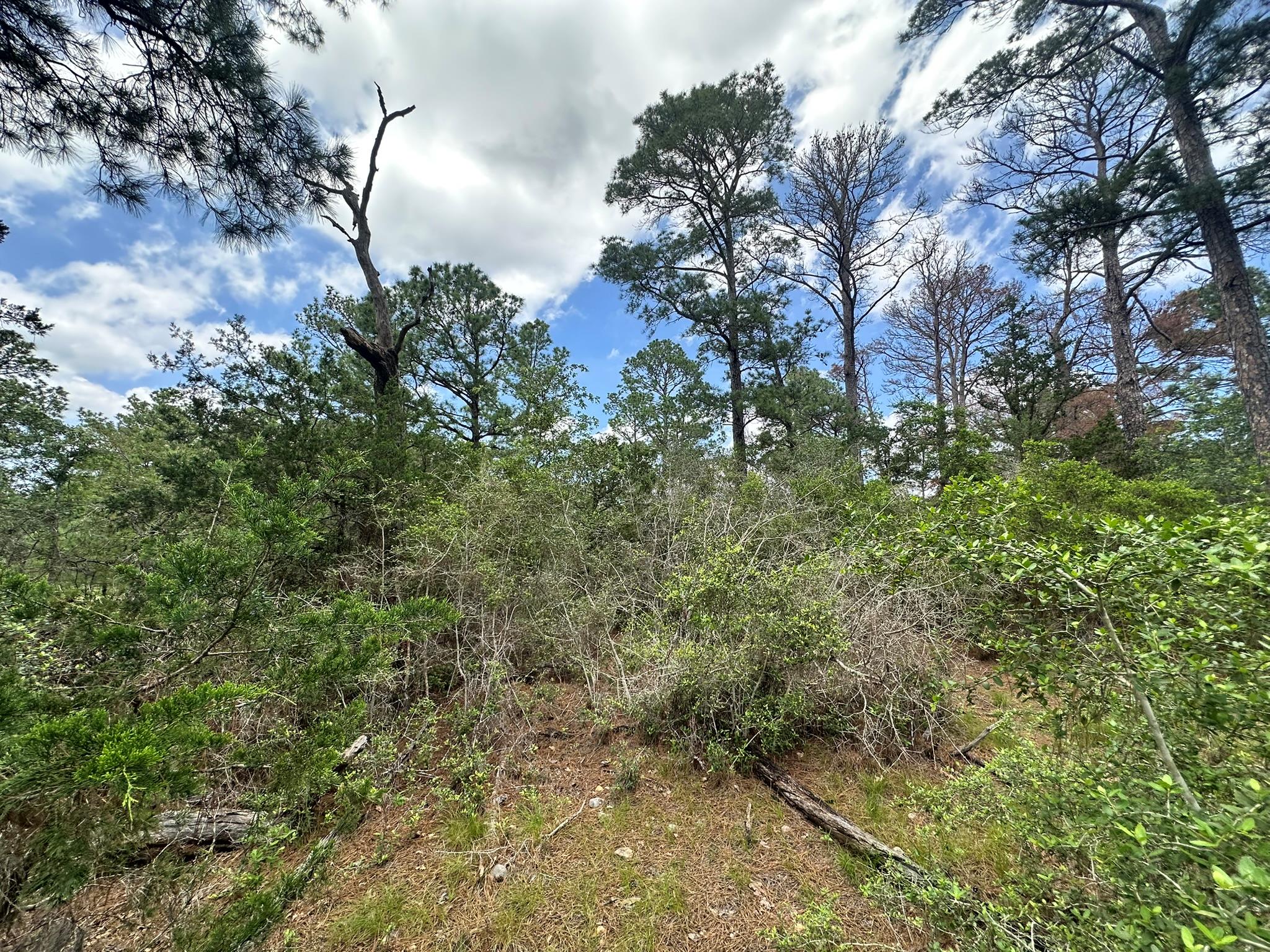 217 Helemano Dr, Bastrop, TX 78602