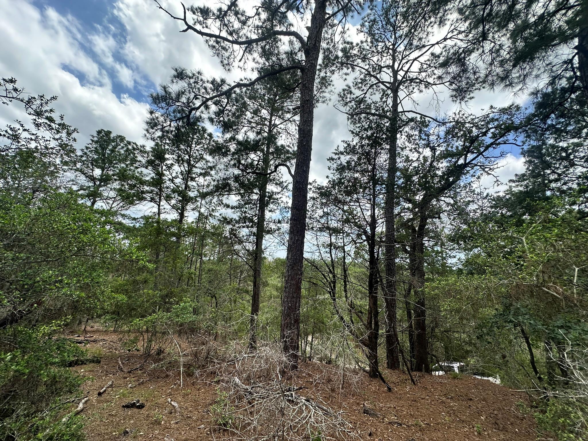 217 Helemano Dr, Bastrop, TX 78602