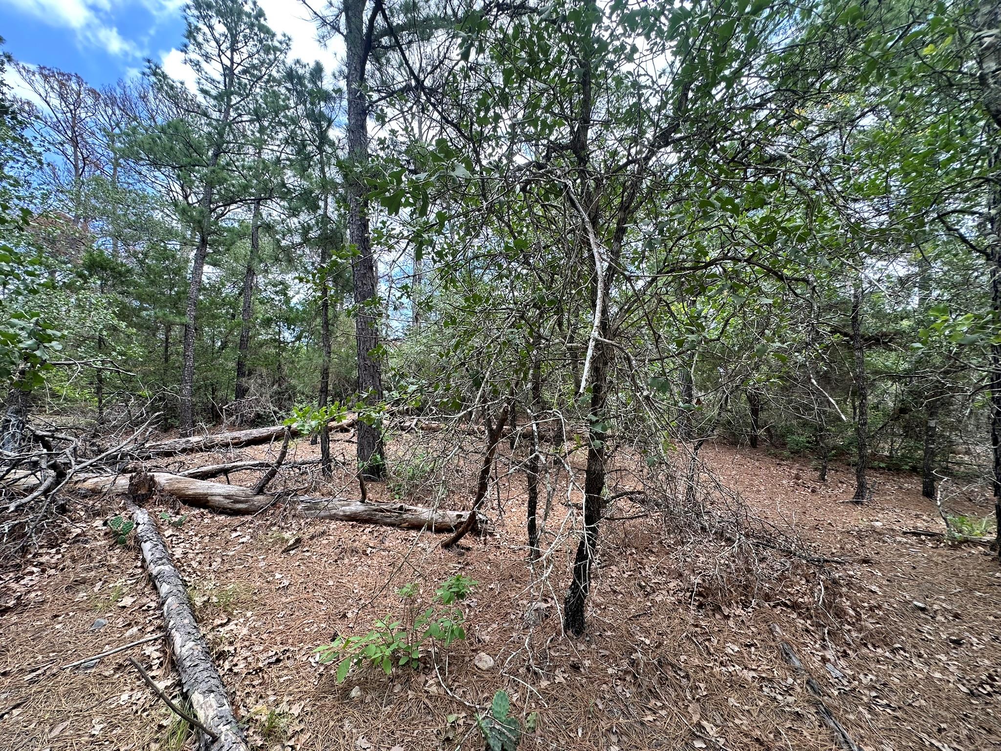 217 Helemano Dr, Bastrop, TX 78602