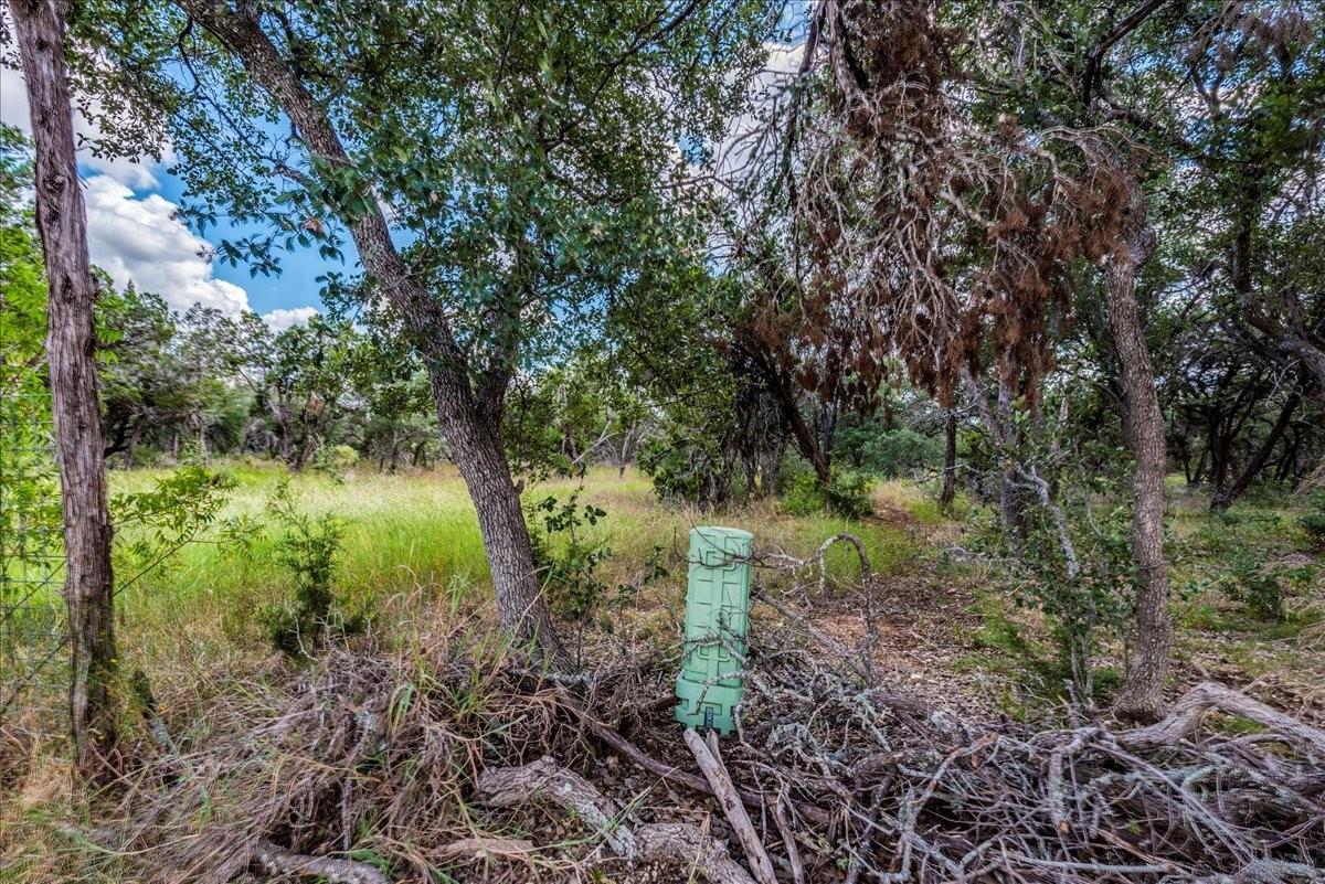 TBD Founders Park Rd, Dripping Springs, TX 78620