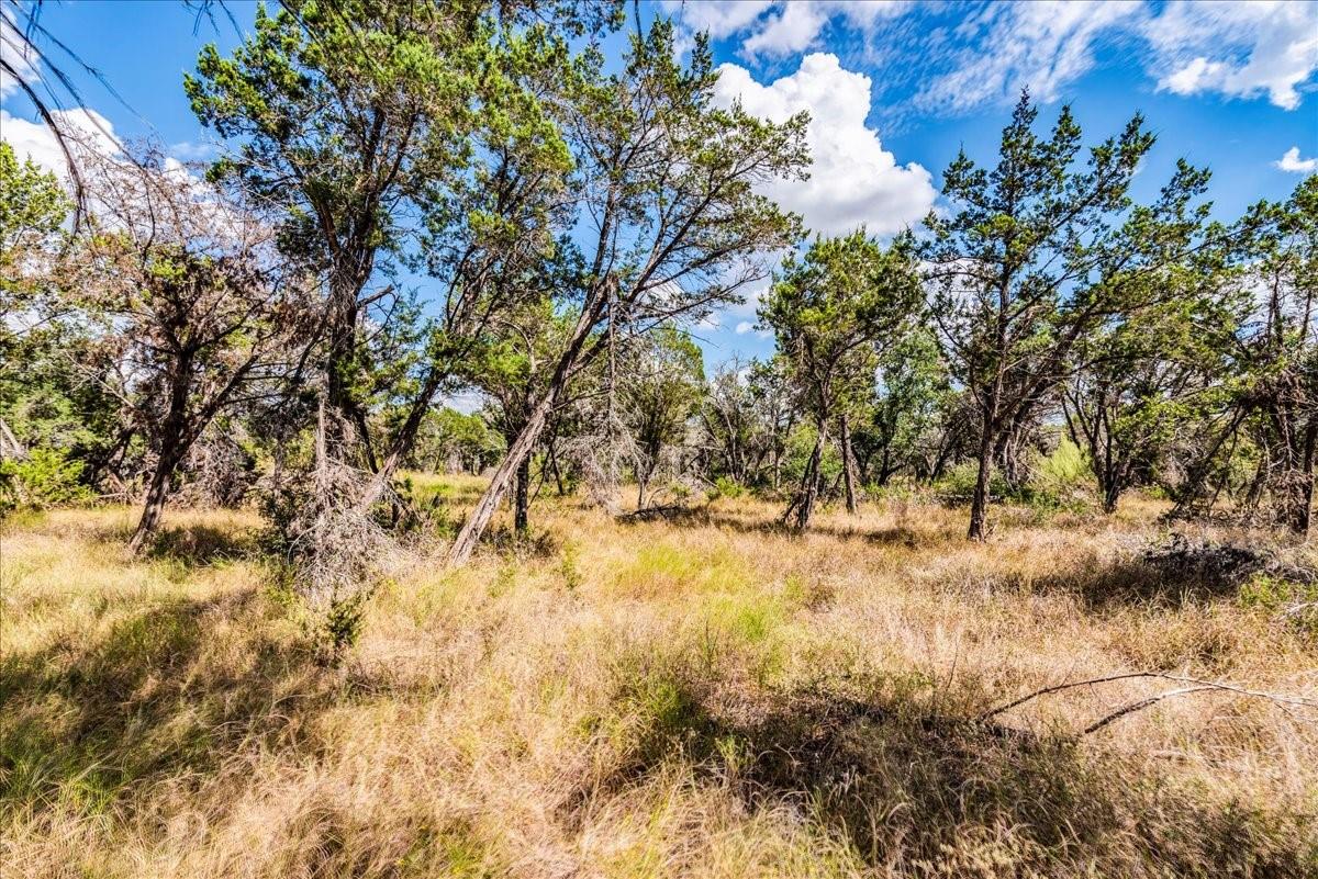 TBD Founders Park Rd, Dripping Springs, TX 78620