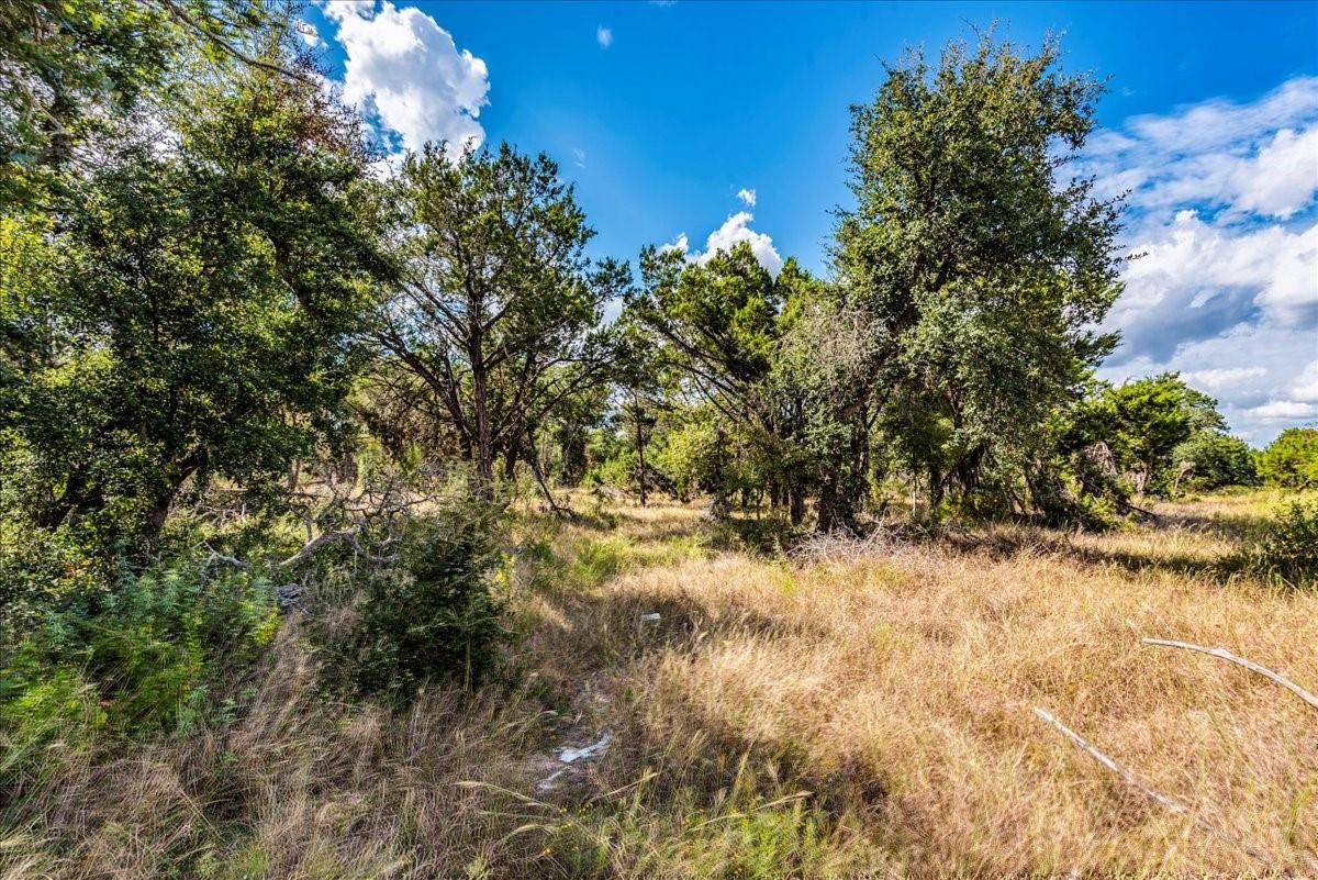 TBD Founders Park Rd, Dripping Springs, TX 78620
