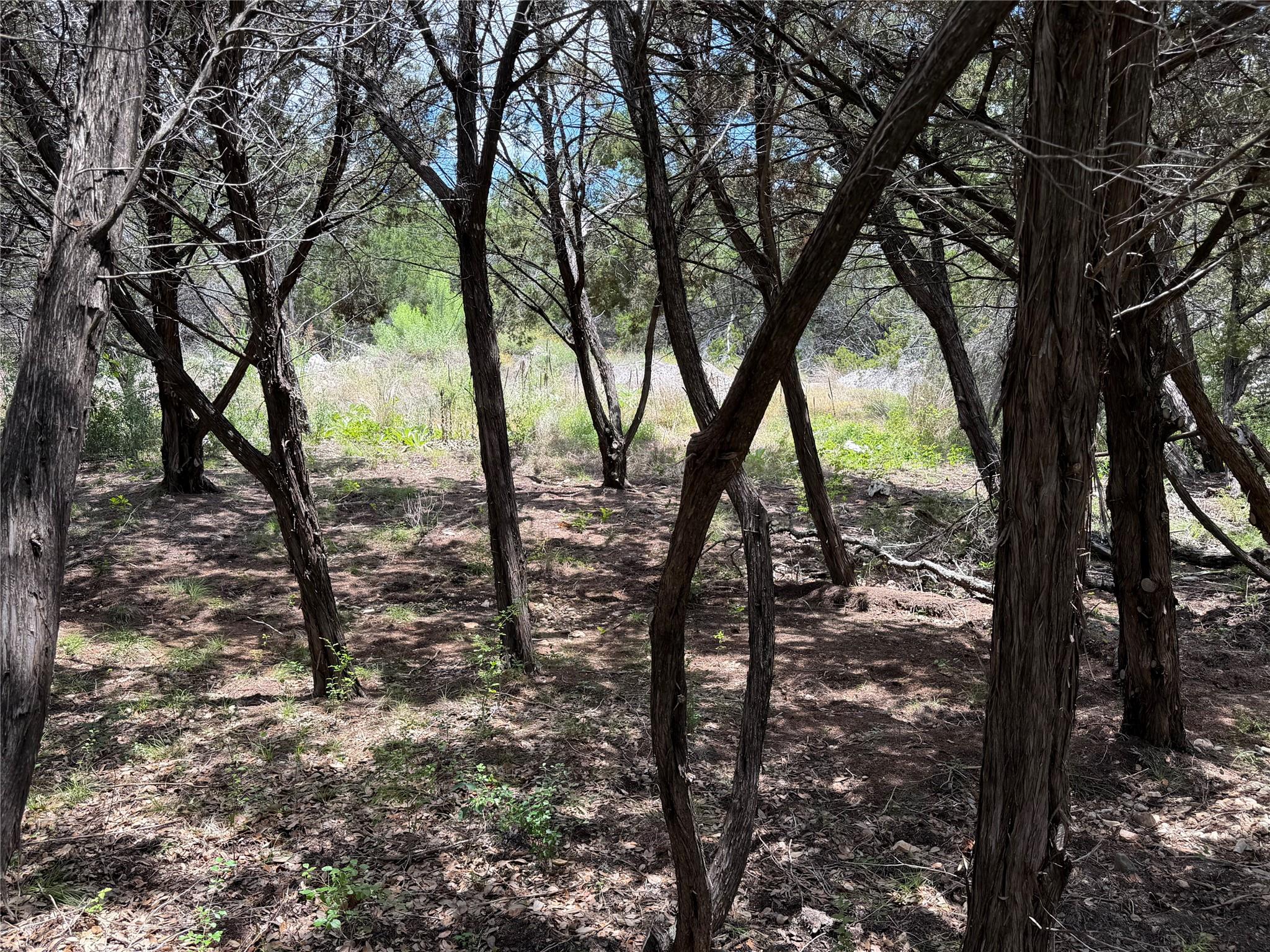 21104 Ringtail Cv, Lago Vista, TX 78645