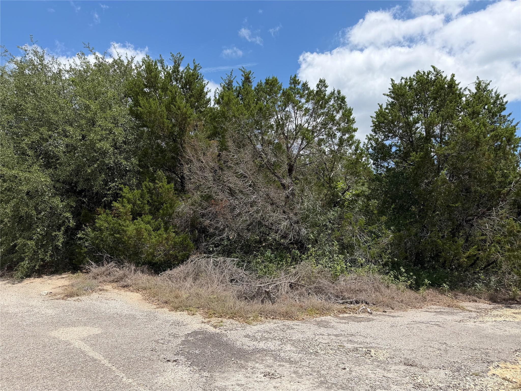 21104 Ringtail Cv, Lago Vista, TX 78645