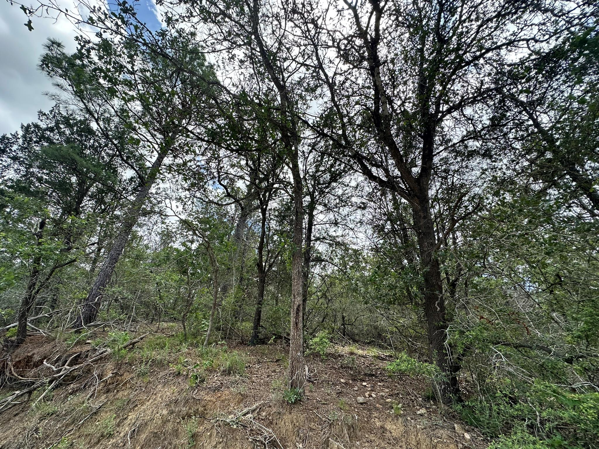 173 Kaaawa Ln, Bastrop, TX 78602