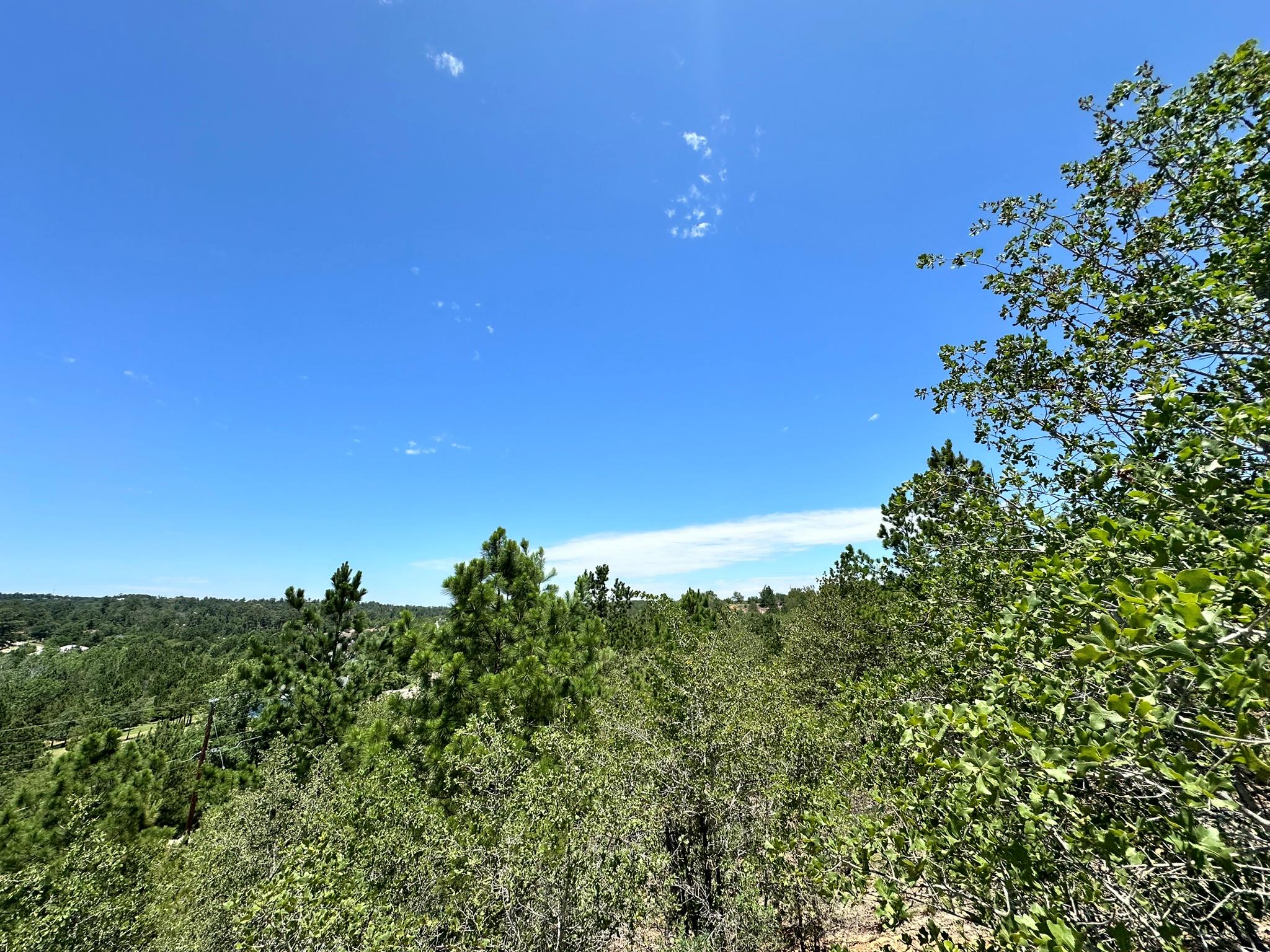 TBD Manawianui Dr, Bastrop, TX 78602