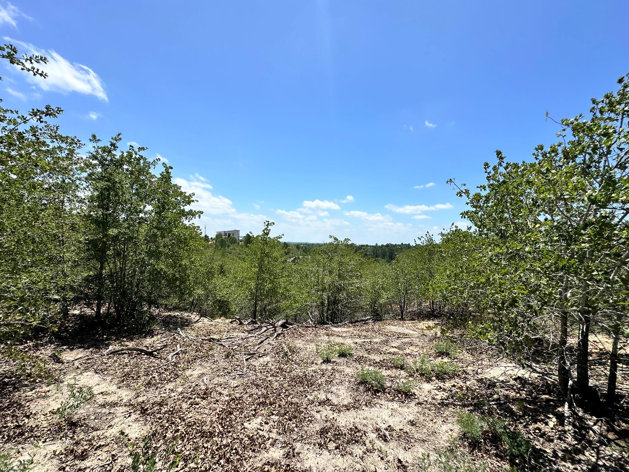 TBD Manawianui Dr, Bastrop, TX 78602