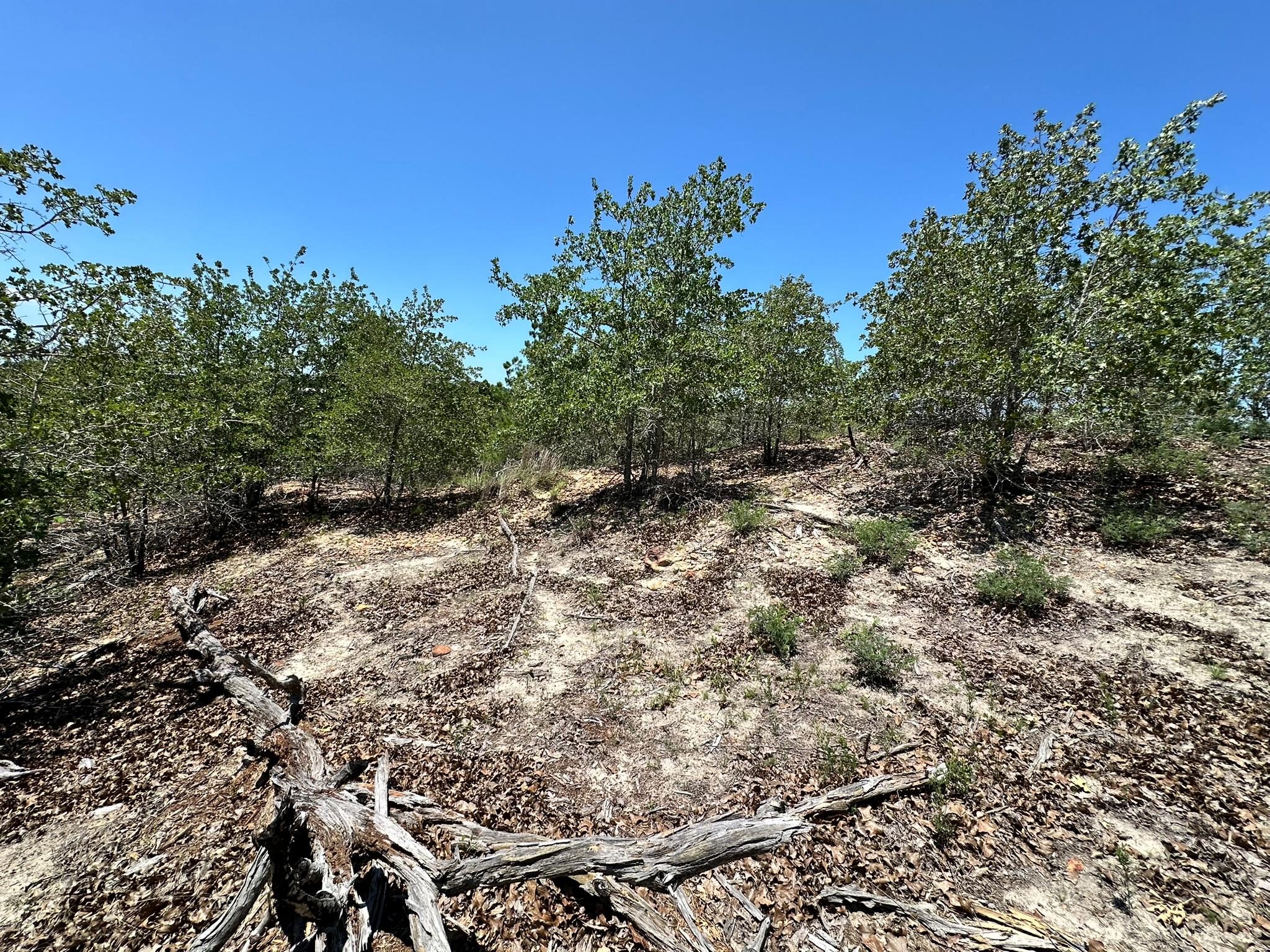 TBD Manawianui Dr, Bastrop, TX 78602