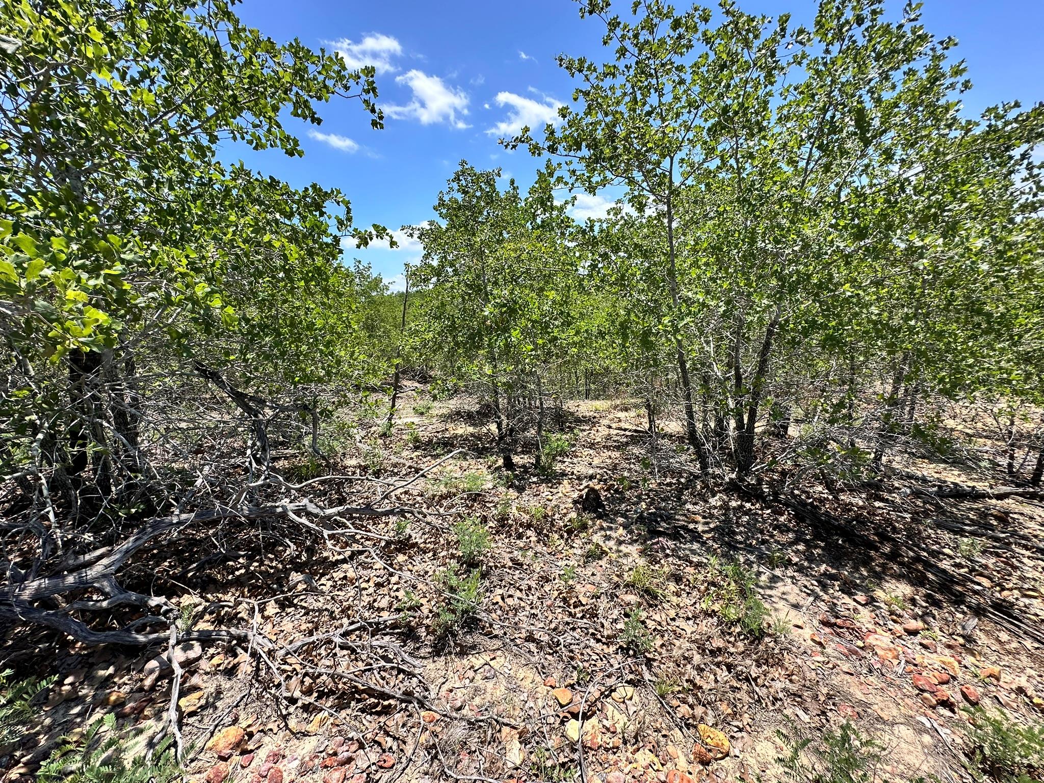 TBD Manawianui Dr, Bastrop, TX 78602
