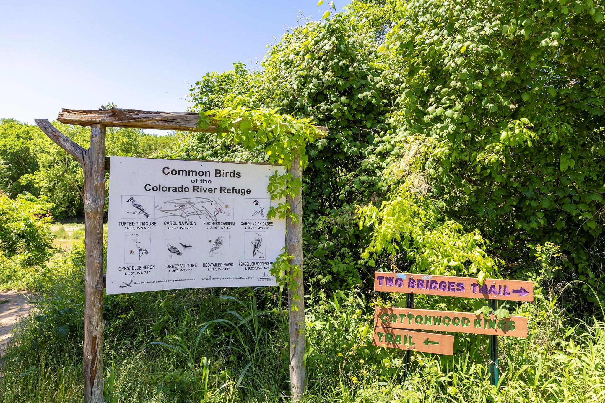 000 Manawianui Dr, Bastrop, TX 78602