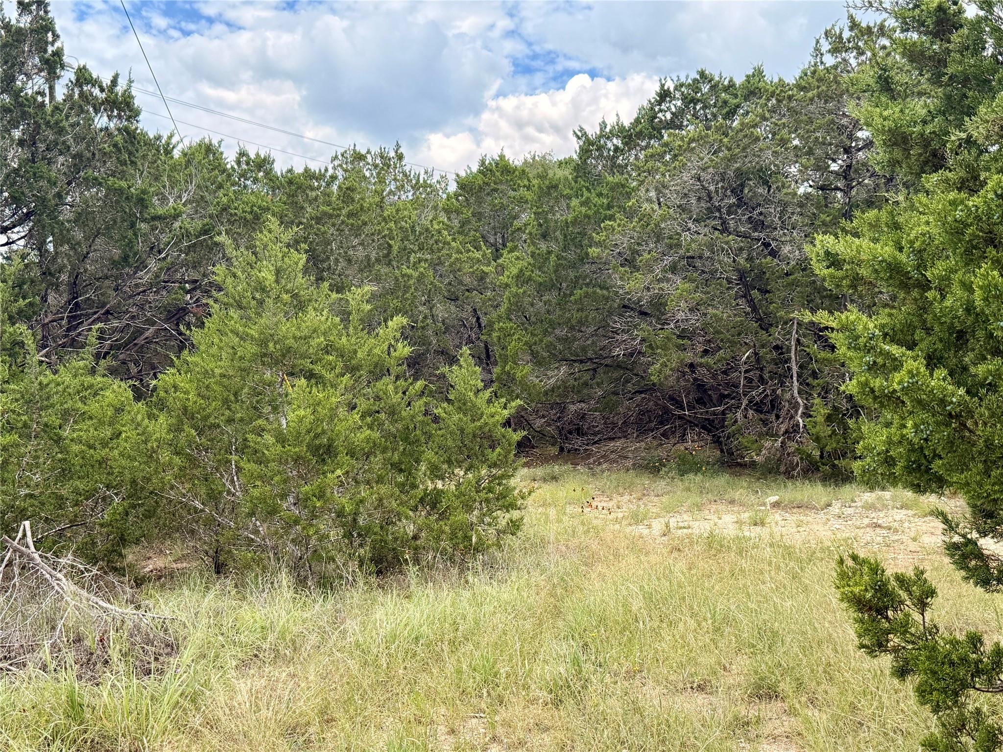 623 Las Colinas Dr, Wimberley, TX 78676